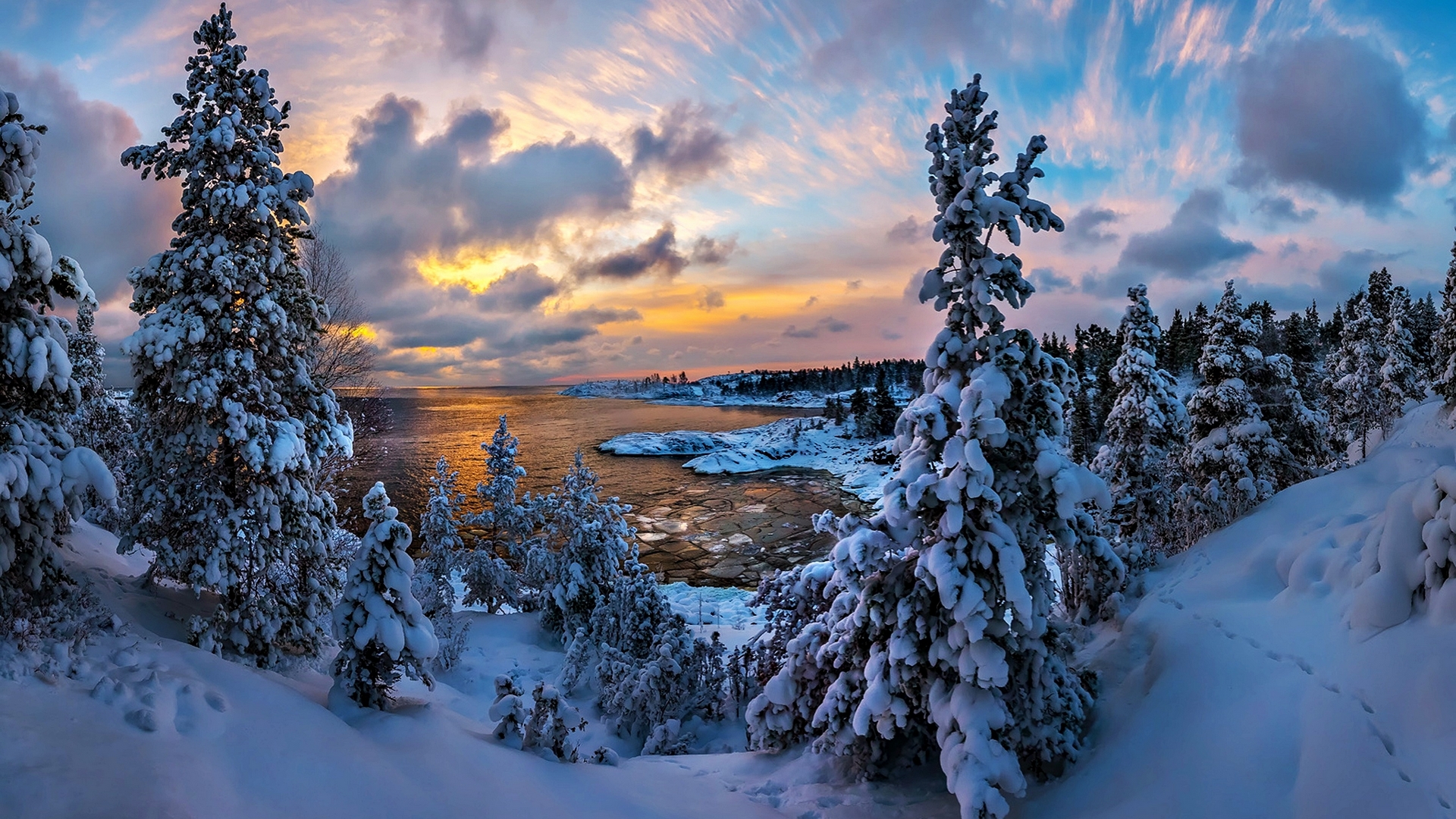 Snow-covered trees by a lake at sunset HD Wallpaper