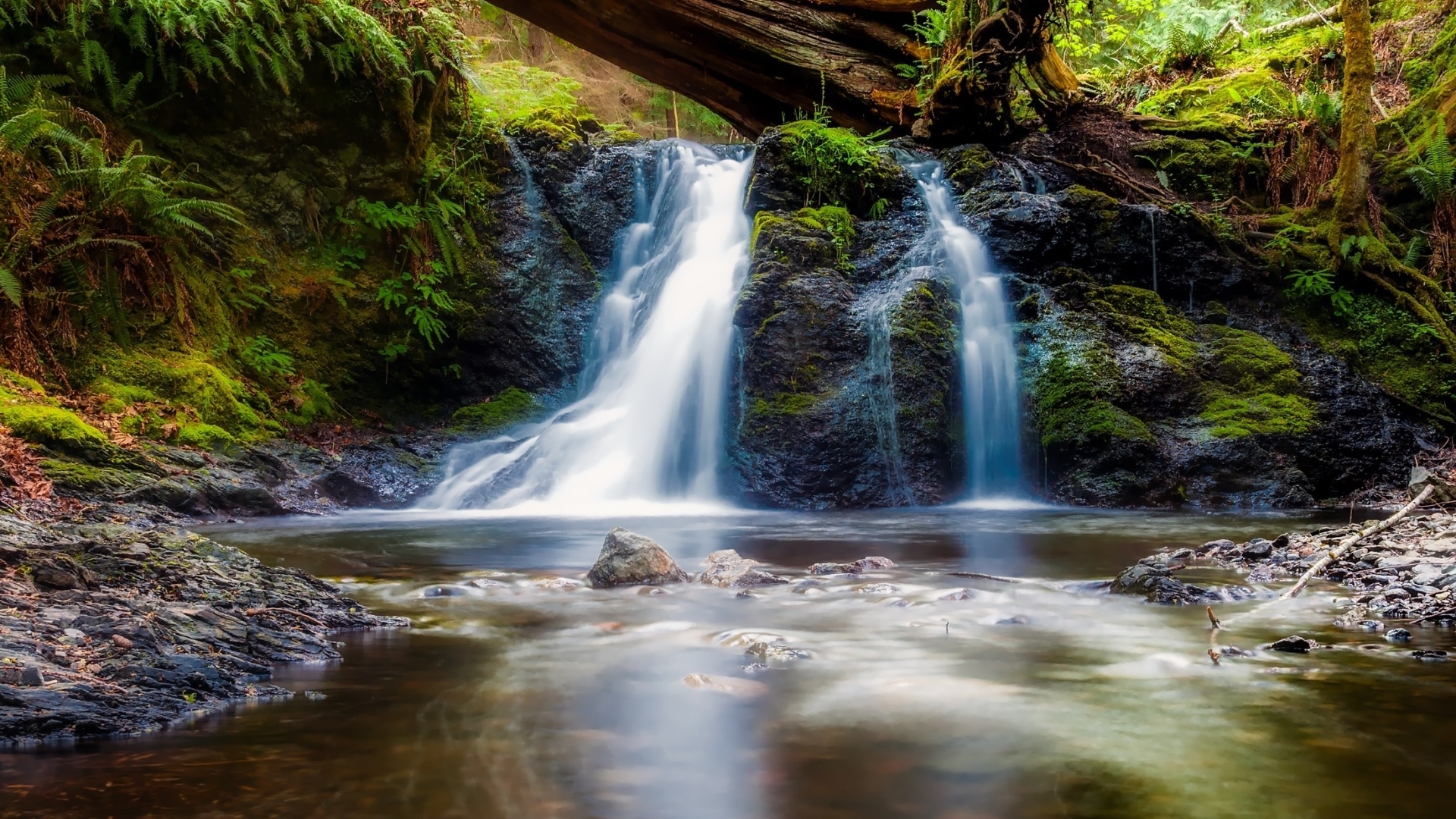 Waterfall cascading over mossy rocks in a forest HD Wallpaper