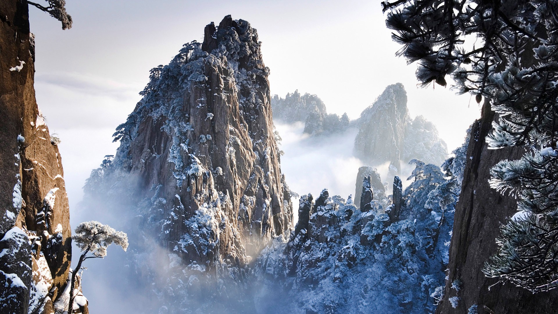 Snow-covered mountains with mist and pine trees HD Wallpaper