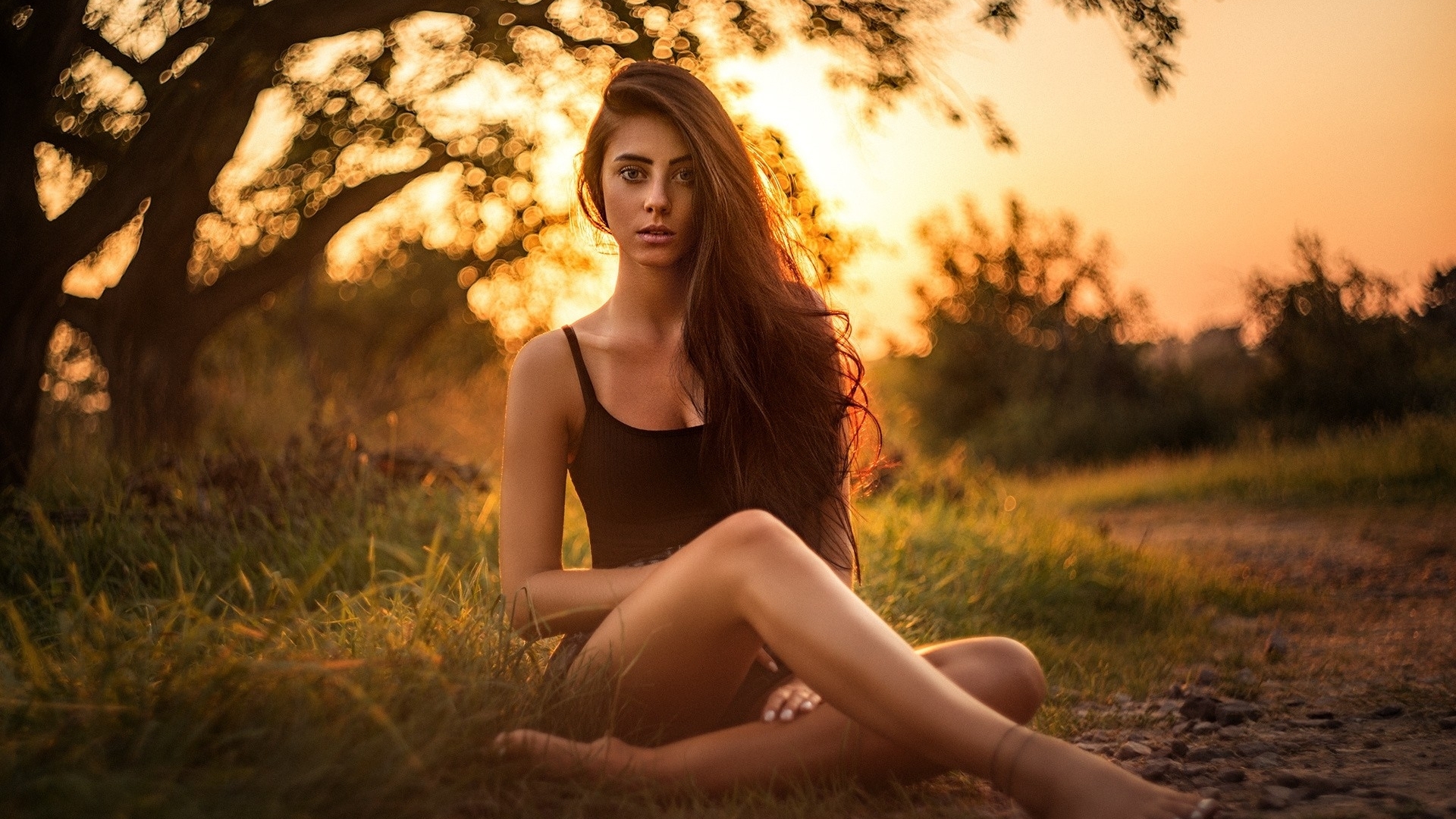 Brunette woman sitting in grass at sunset HD Wallpaper