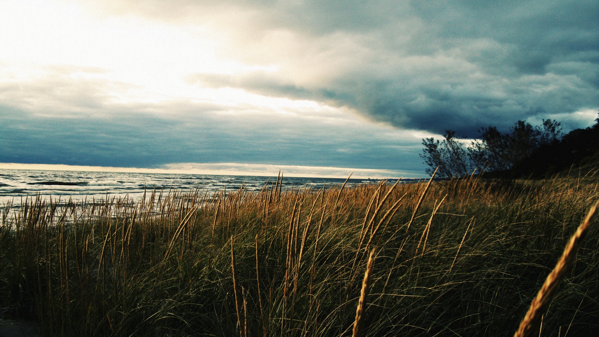 Stormy clouds over a beach with tall grass HD Wallpaper