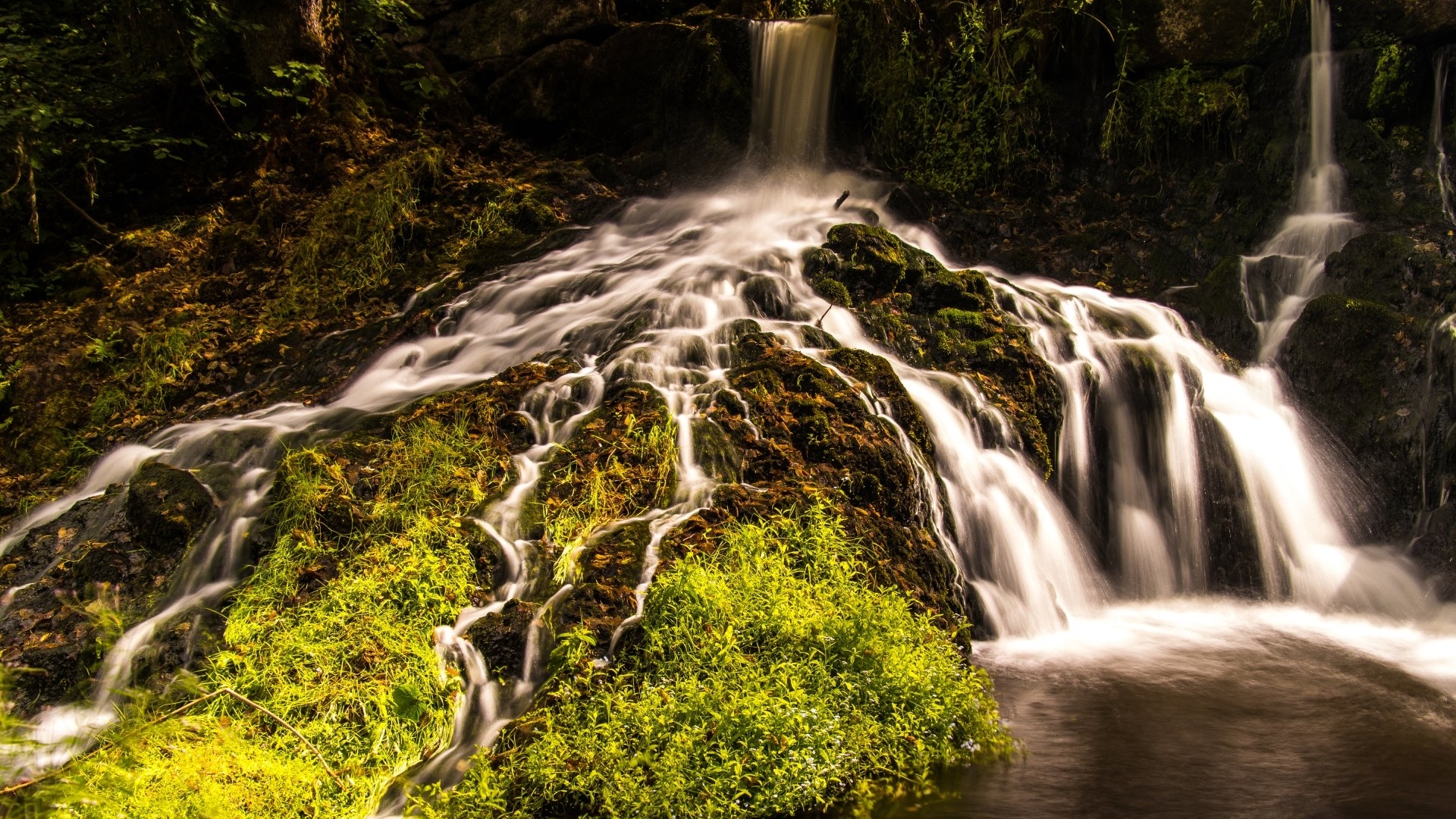 Mossy rocks with cascading waterfalls in a forest HD Wallpaper