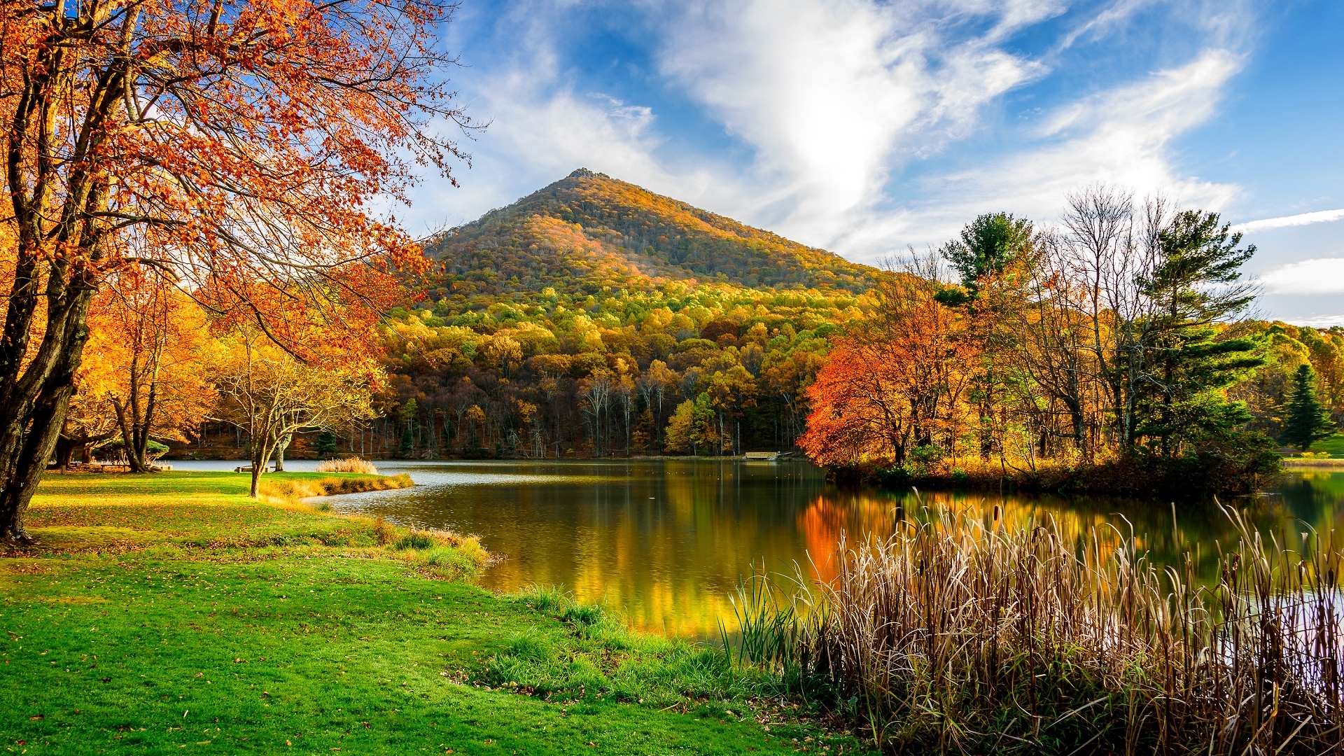 Autumn Lake with Colorful Trees and Mountain HD Wallpaper