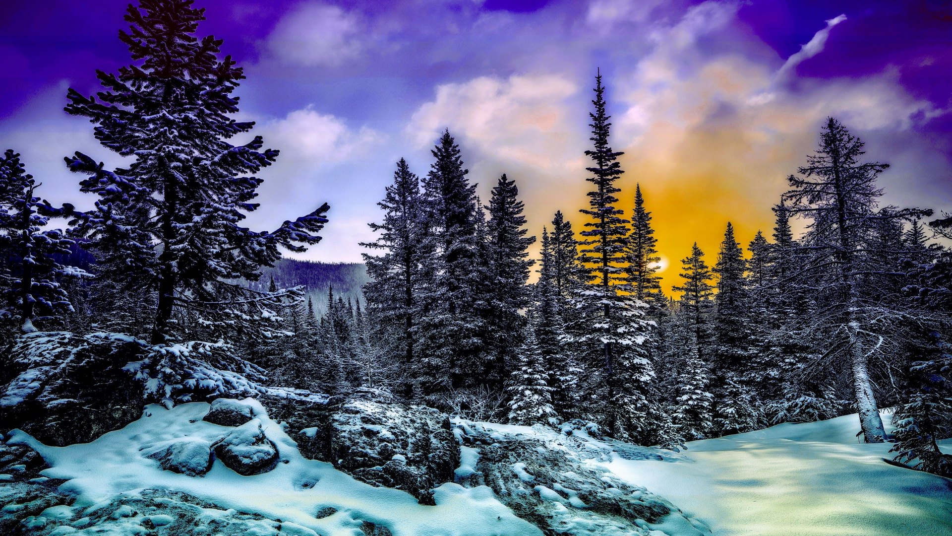 Snowy pine forest with colorful sunset sky HD Wallpaper