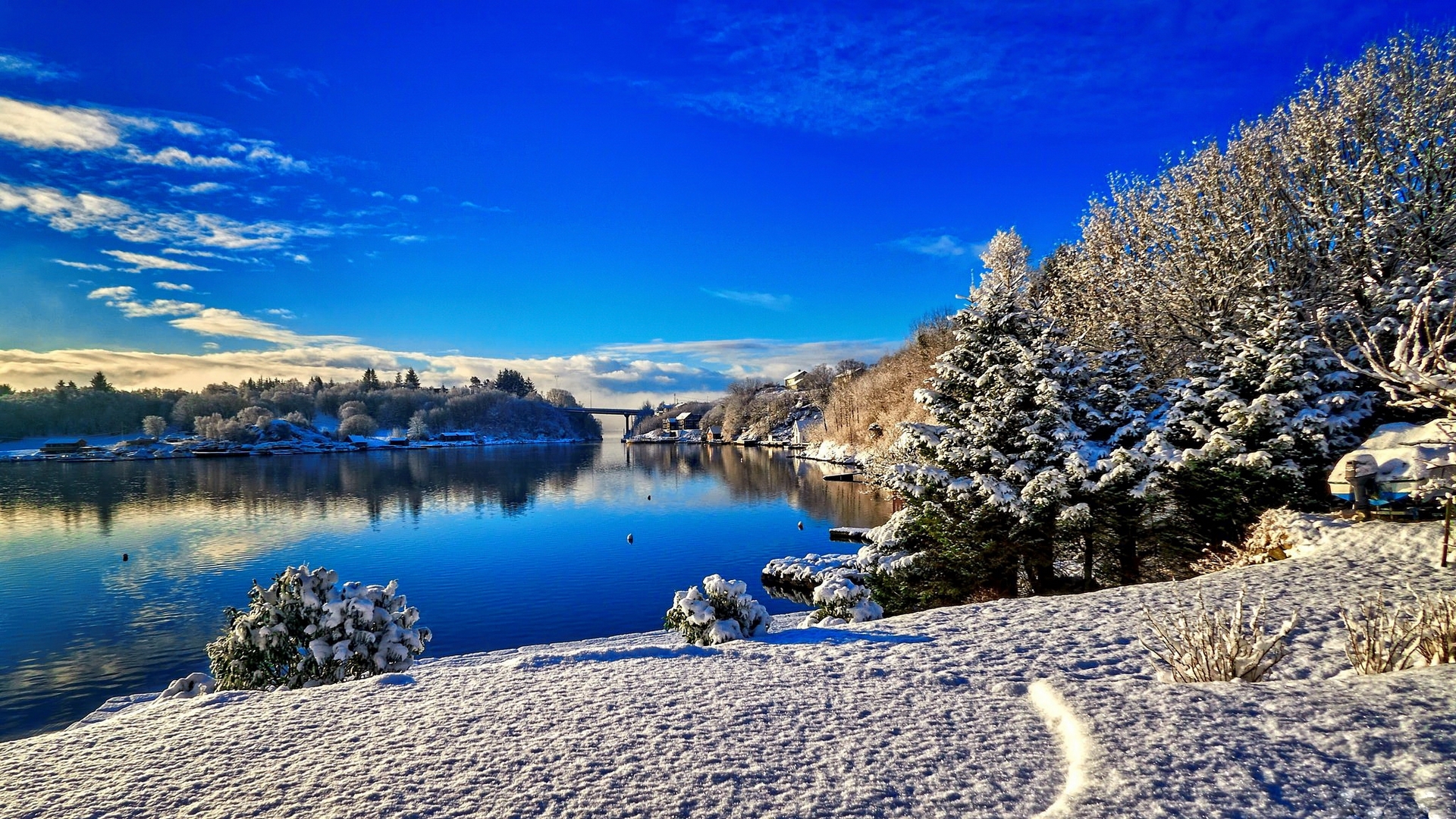 Snowy landscape with a lake and trees HD Wallpaper