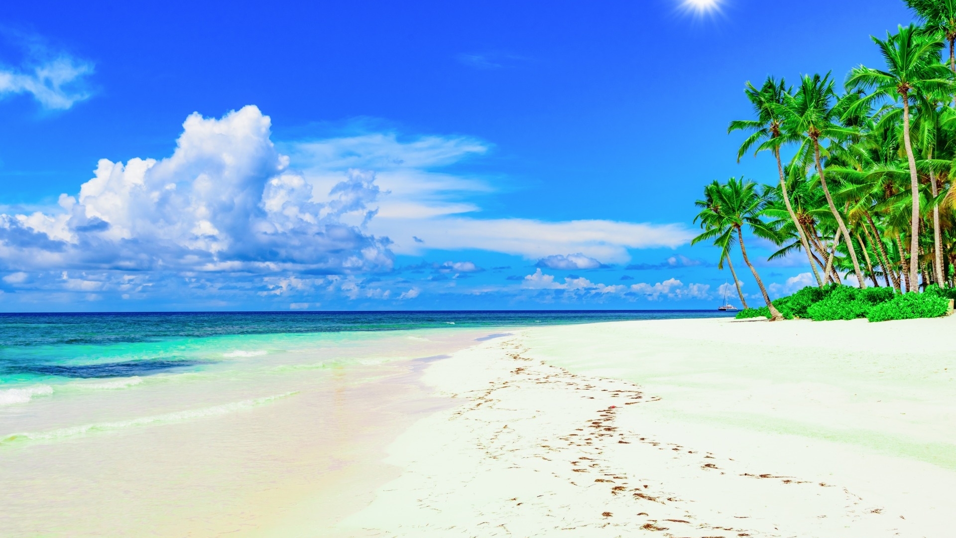 Tropical beach with palm trees and ocean HD Wallpaper