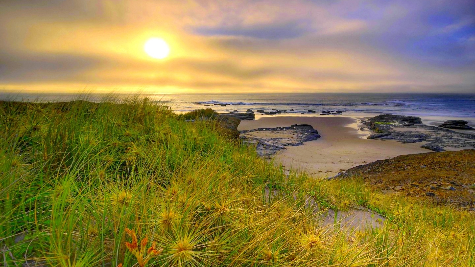 Sunset over the ocean with grass in the foreground HD Wallpaper