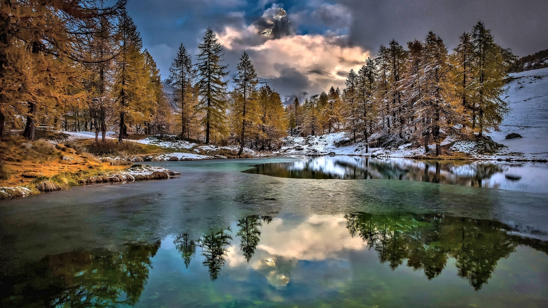 Lake and trees in winter with snow HD Wallpaper