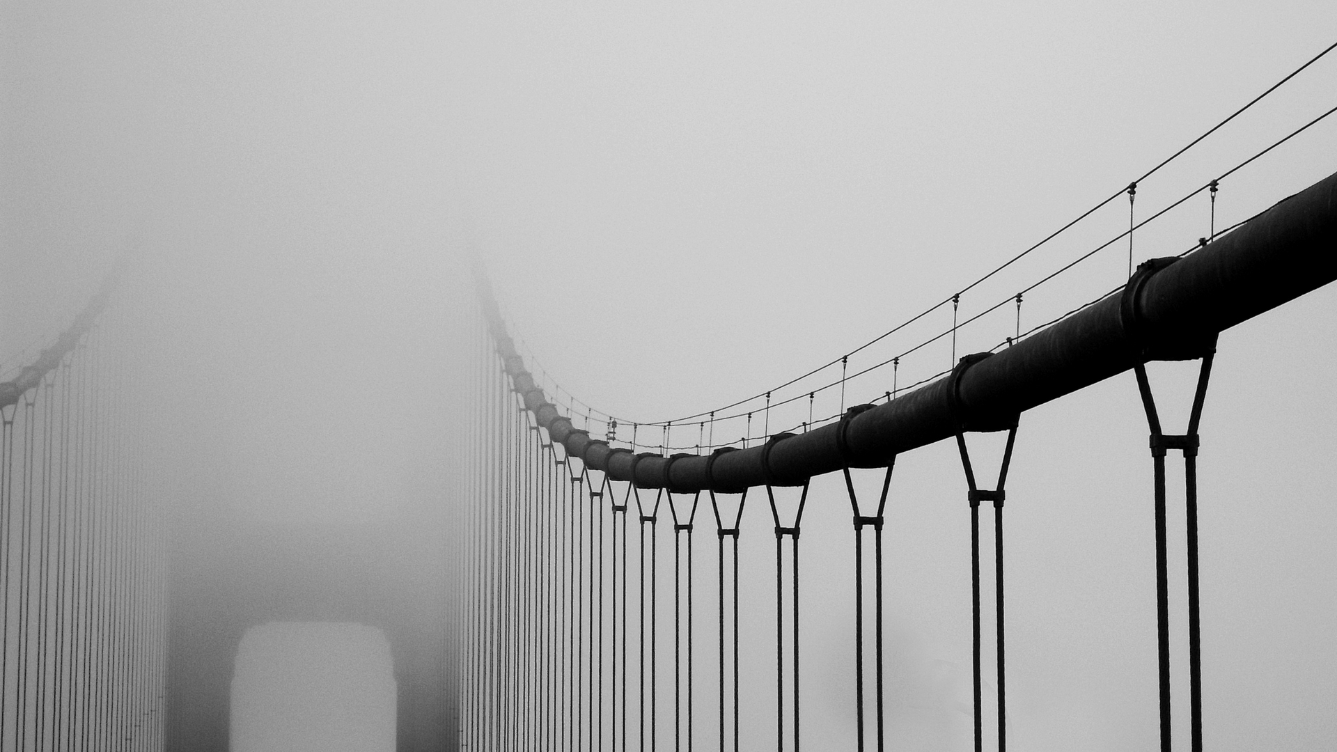 Suspension bridge cables in fog HD Wallpaper