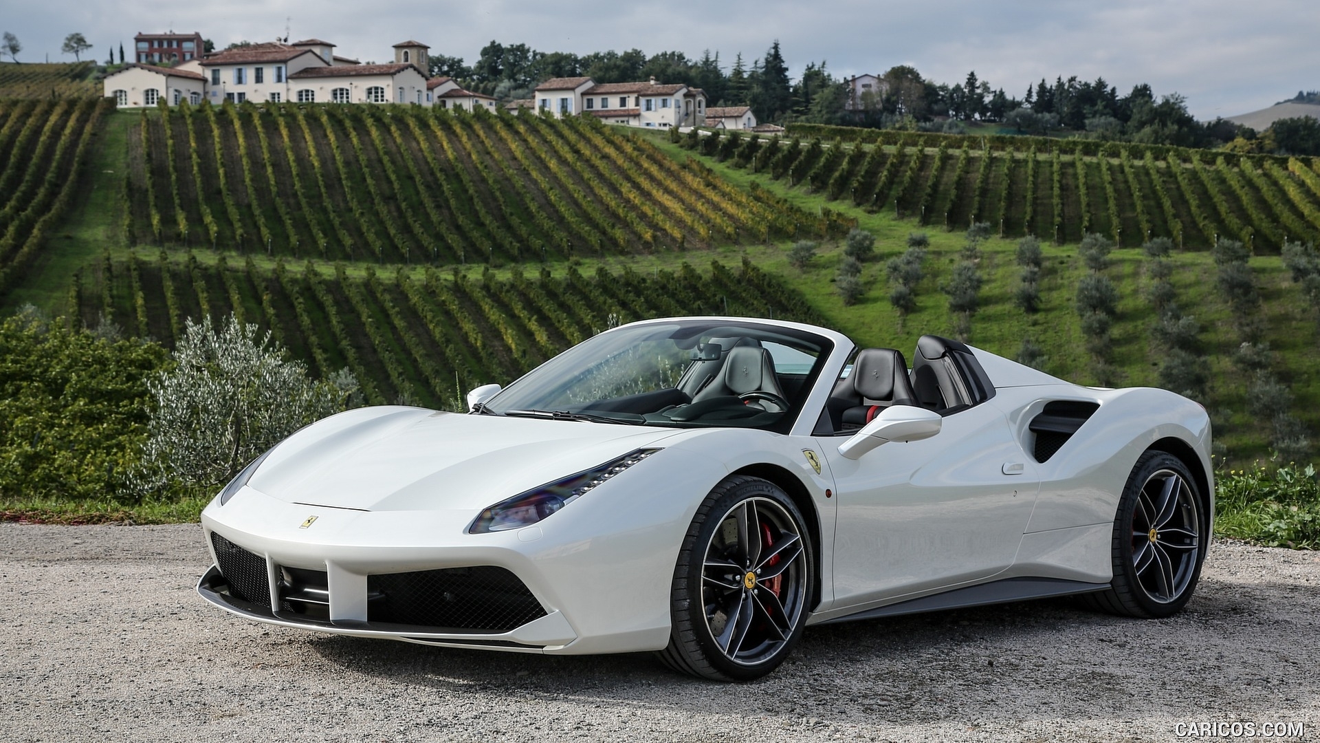 White Ferrari 488 Spider in Italian Vineyard HD Wallpaper