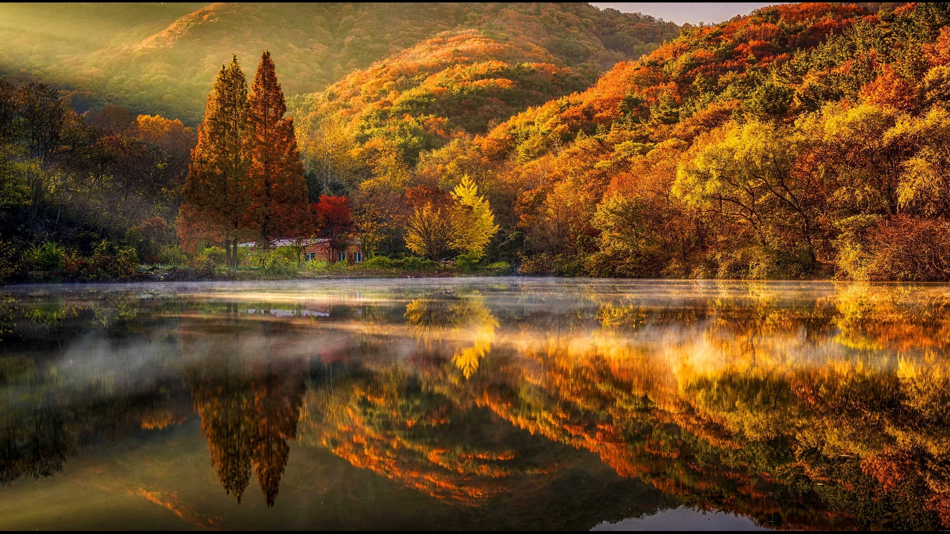Autumn forest reflected in a tranquil lake HD Wallpaper