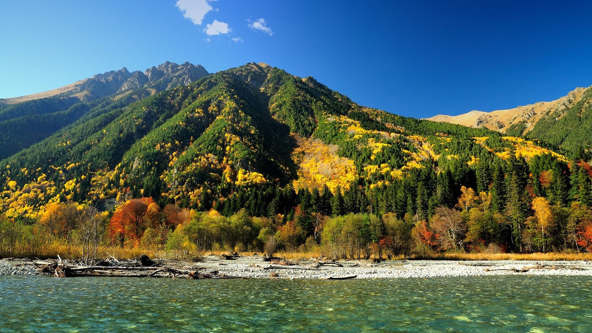 Autumn forest on a mountain slope overlooking a river HD Wallpaper