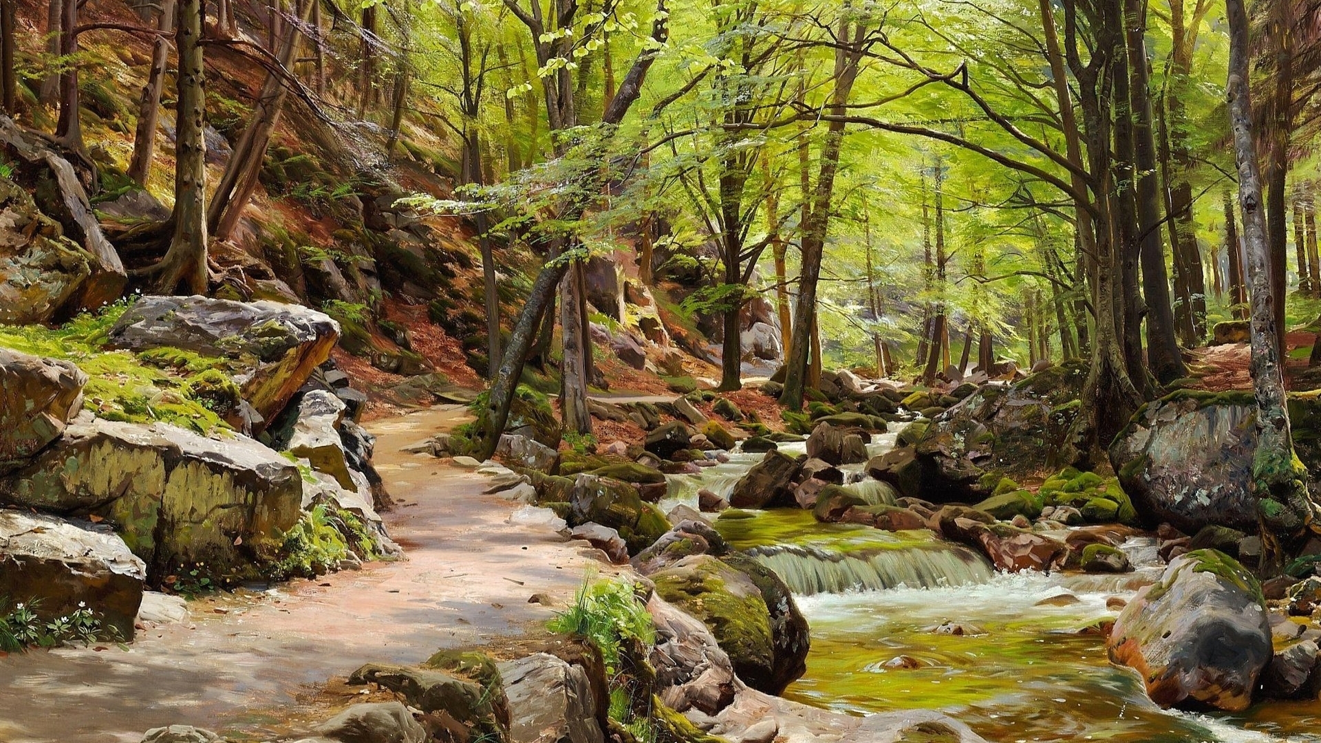 A forest path alongside a rocky stream HD Wallpaper