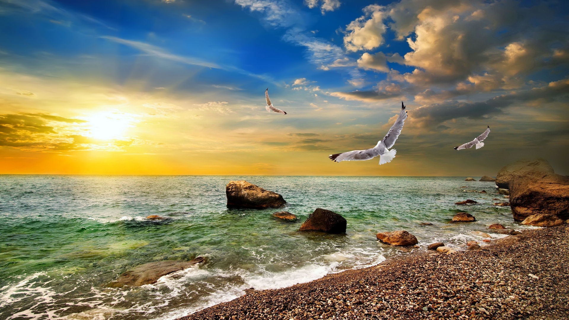 Seagulls flying over the ocean at sunset with rocky beach HD Wallpaper