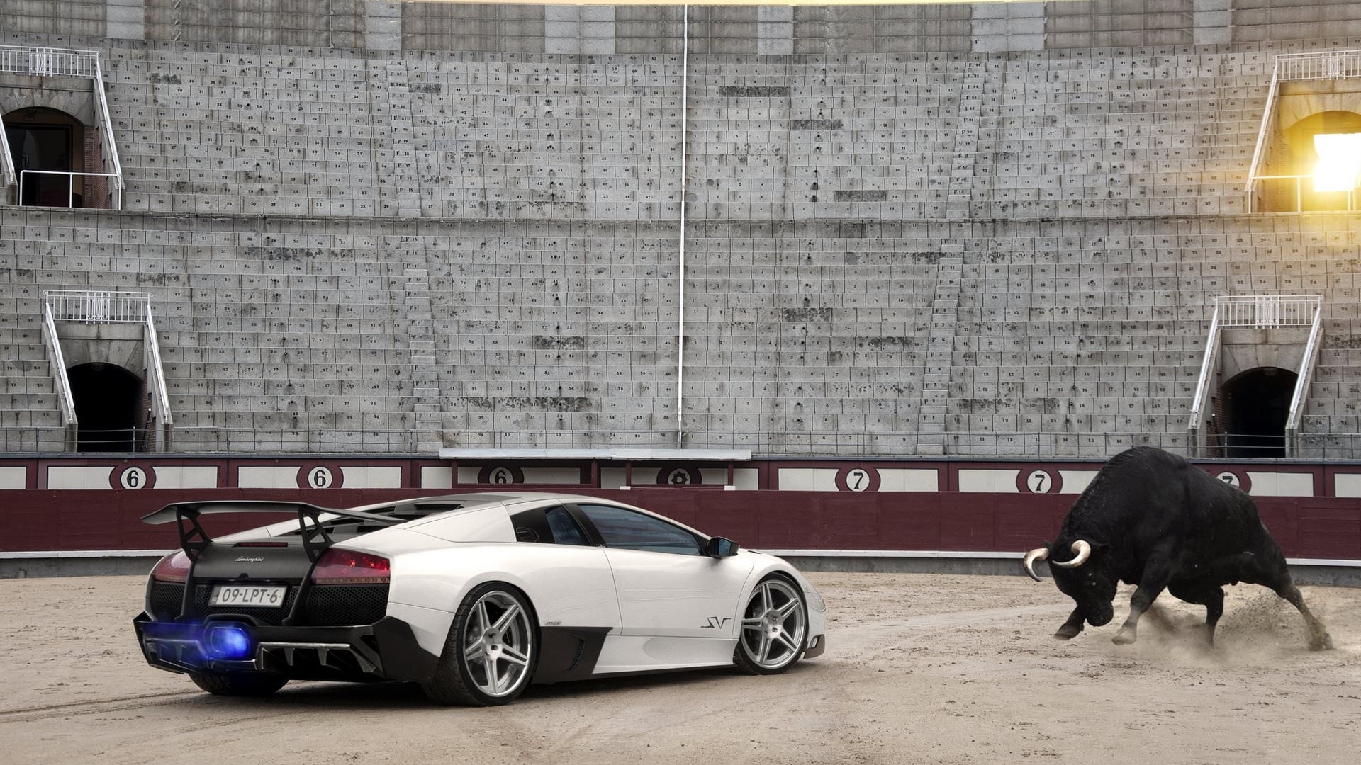 Lamborghini Aventador Facing Bull in Stadium HD Wallpaper