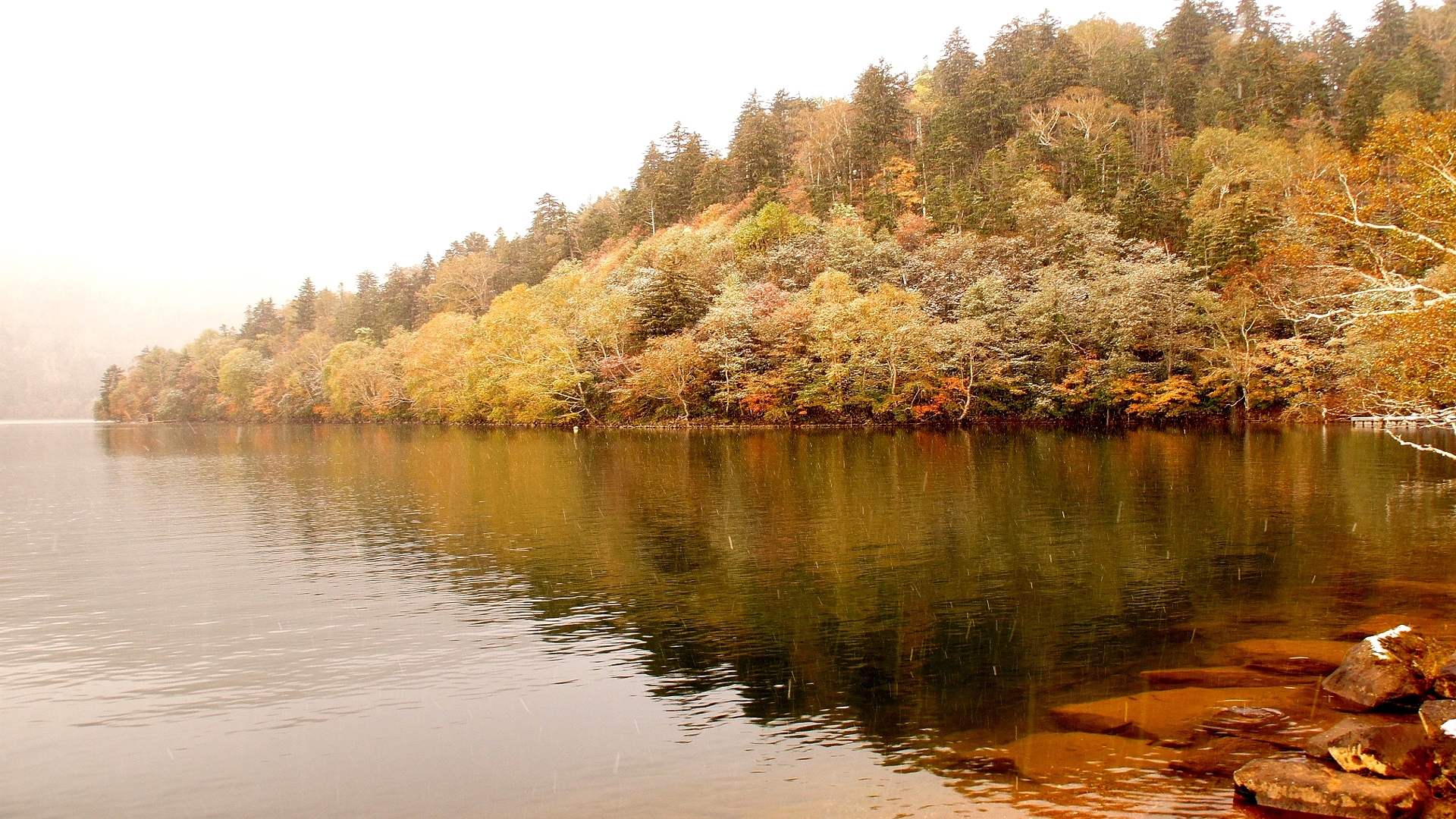Autumn forest reflected in a calm lake HD Wallpaper