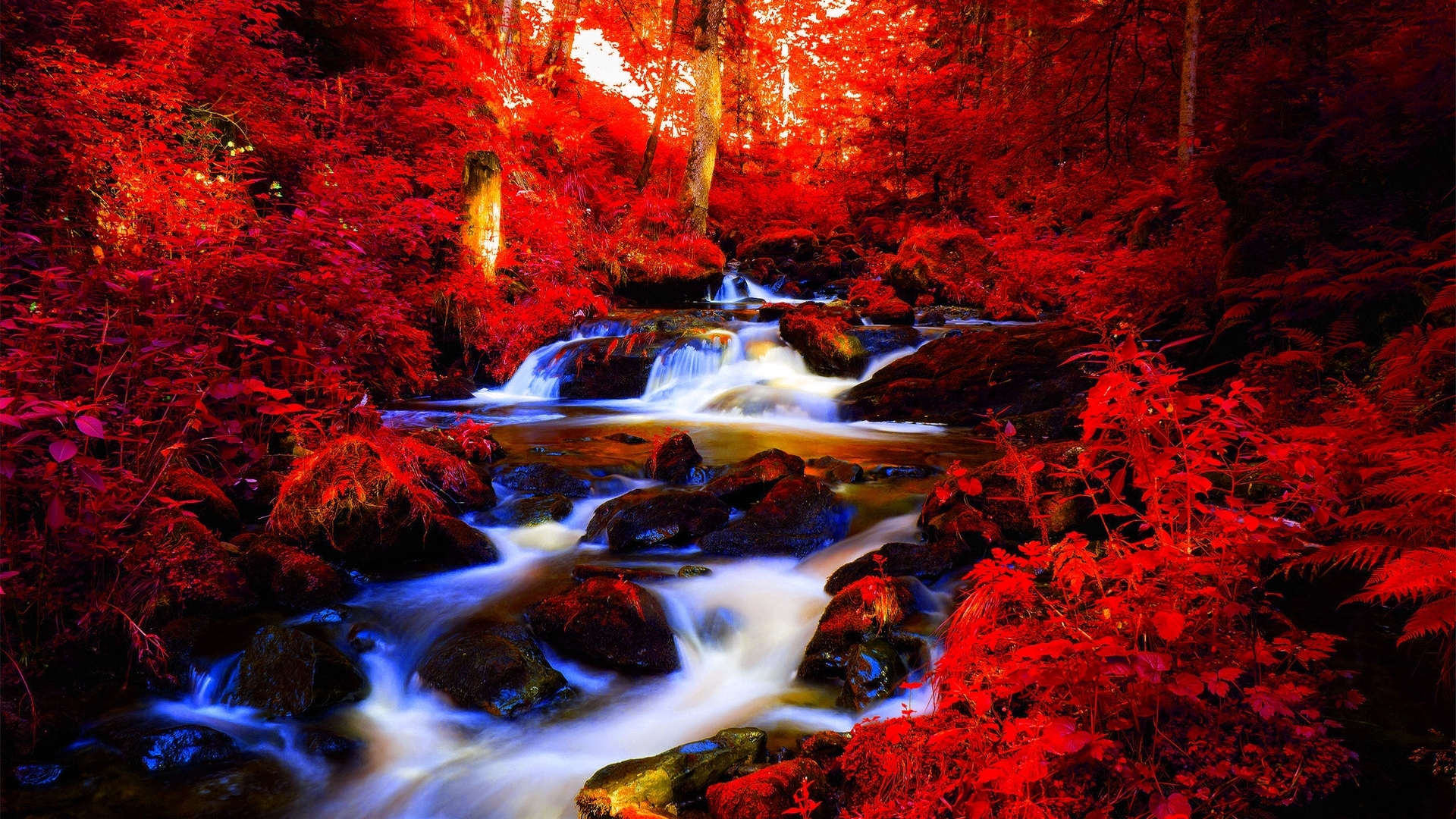 Red forest stream with rocks and waterfalls HD Wallpaper
