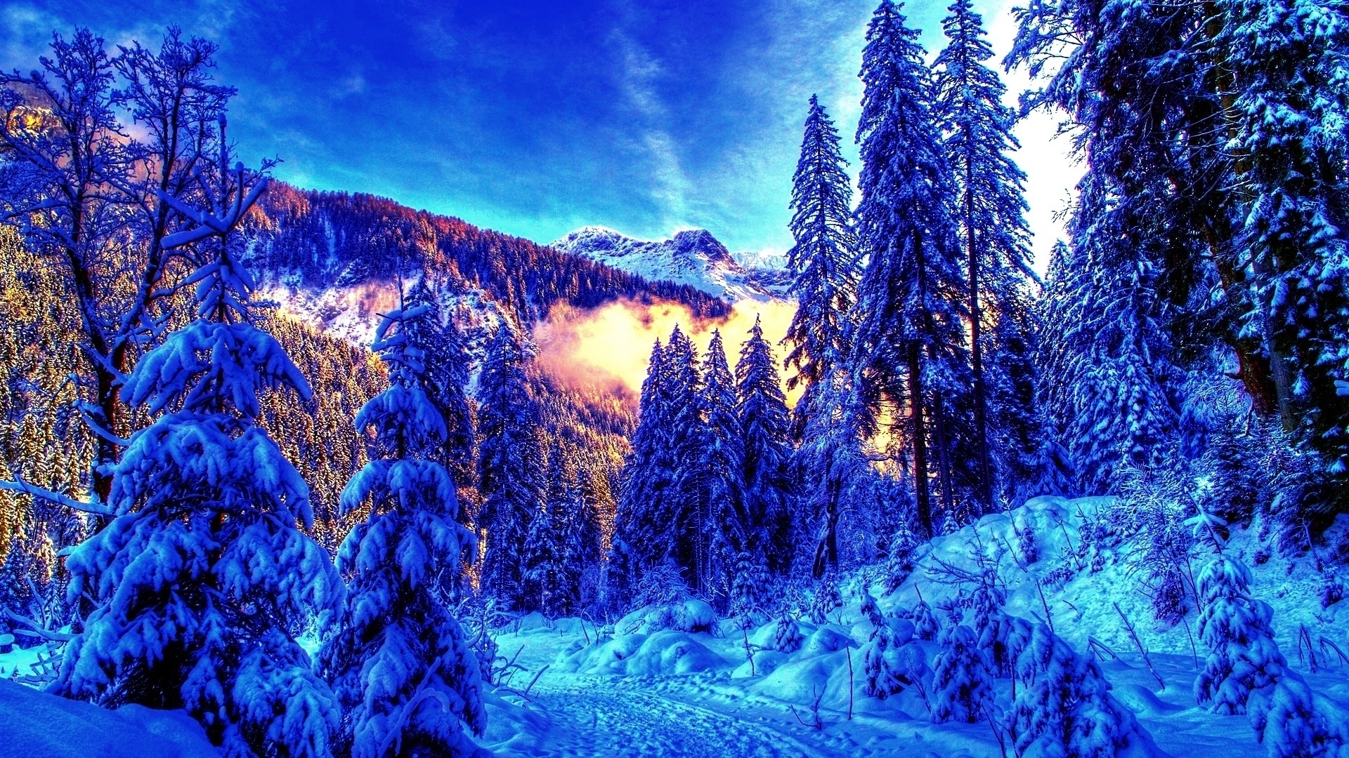 Snowy forest with mountains and blue sky HD Wallpaper