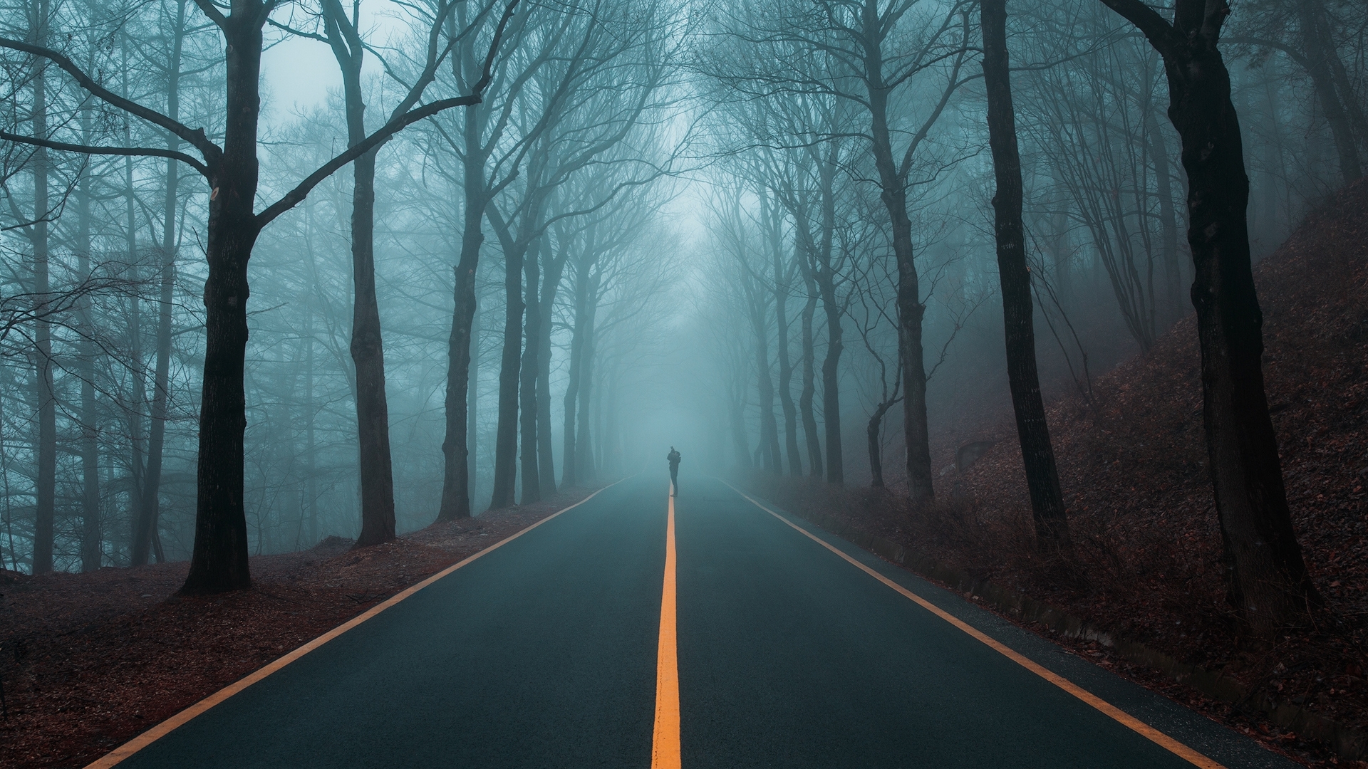 Lonely Silhouette Walking on Misty Forest Highway HD Wallpaper