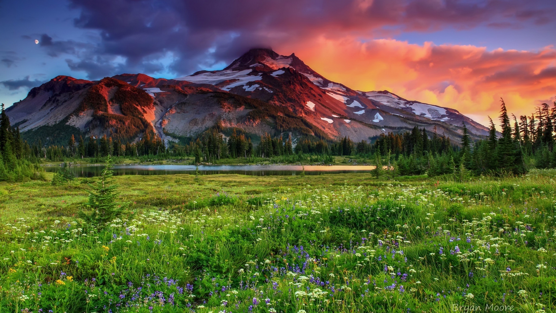 Mountain peak at sunset over a wildflower meadow HD Wallpaper