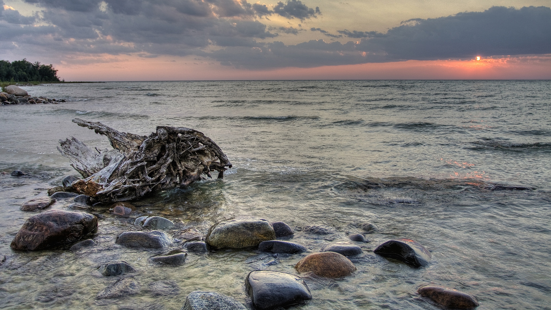 Driftwood and rocks on a beach at sunset HD Wallpaper