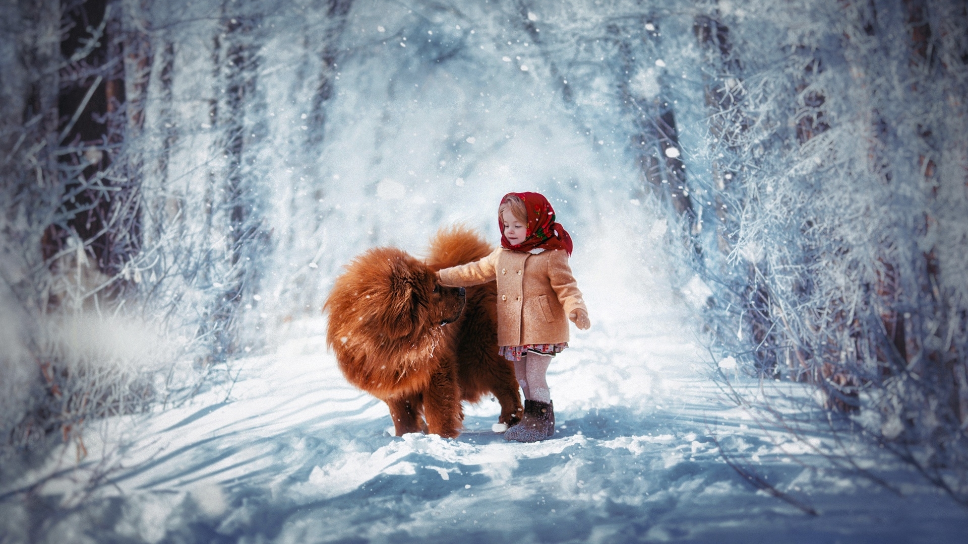 Girl with fluffy dog in snowy forest HD Wallpaper