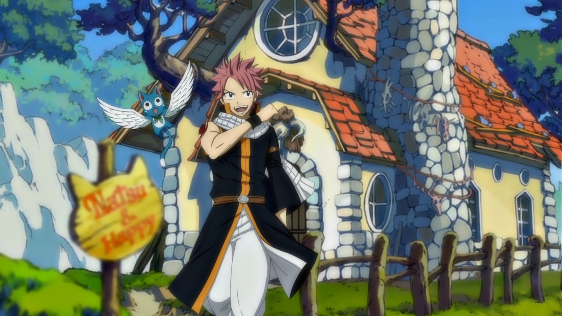 Natsu and Happy from Fairy Tail HD Wallpaper