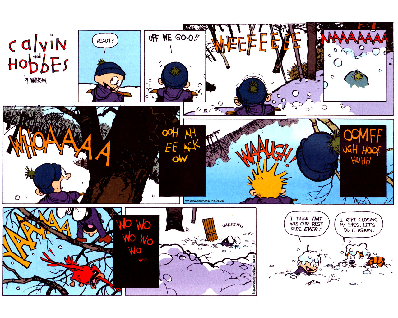 Calvin and Hobbes comic strip about sledding HD Wallpaper