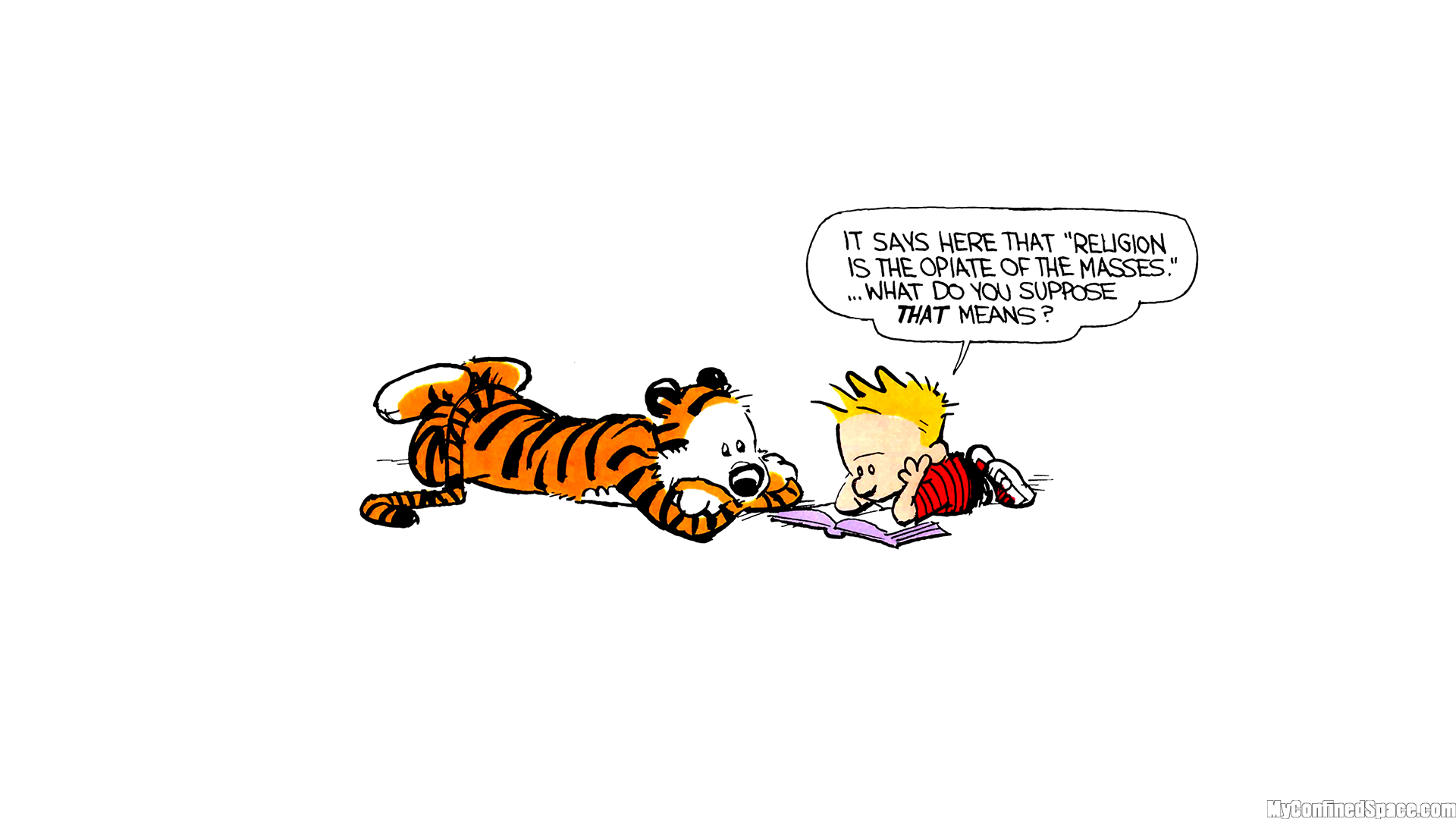 Calvin and Hobbes reading a book HD Wallpaper