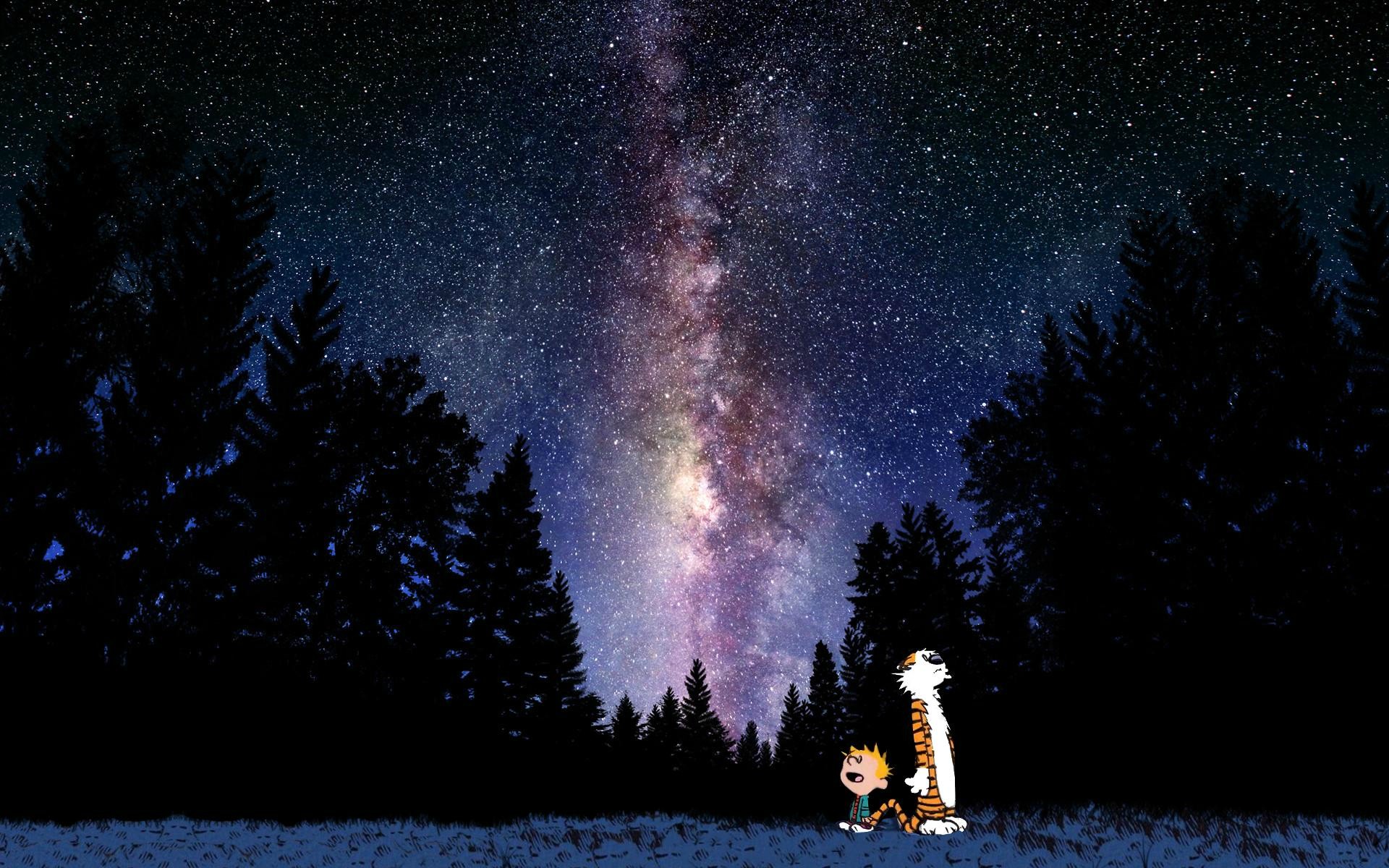 Calvin and Hobbes looking at the Milky Way HD Wallpaper