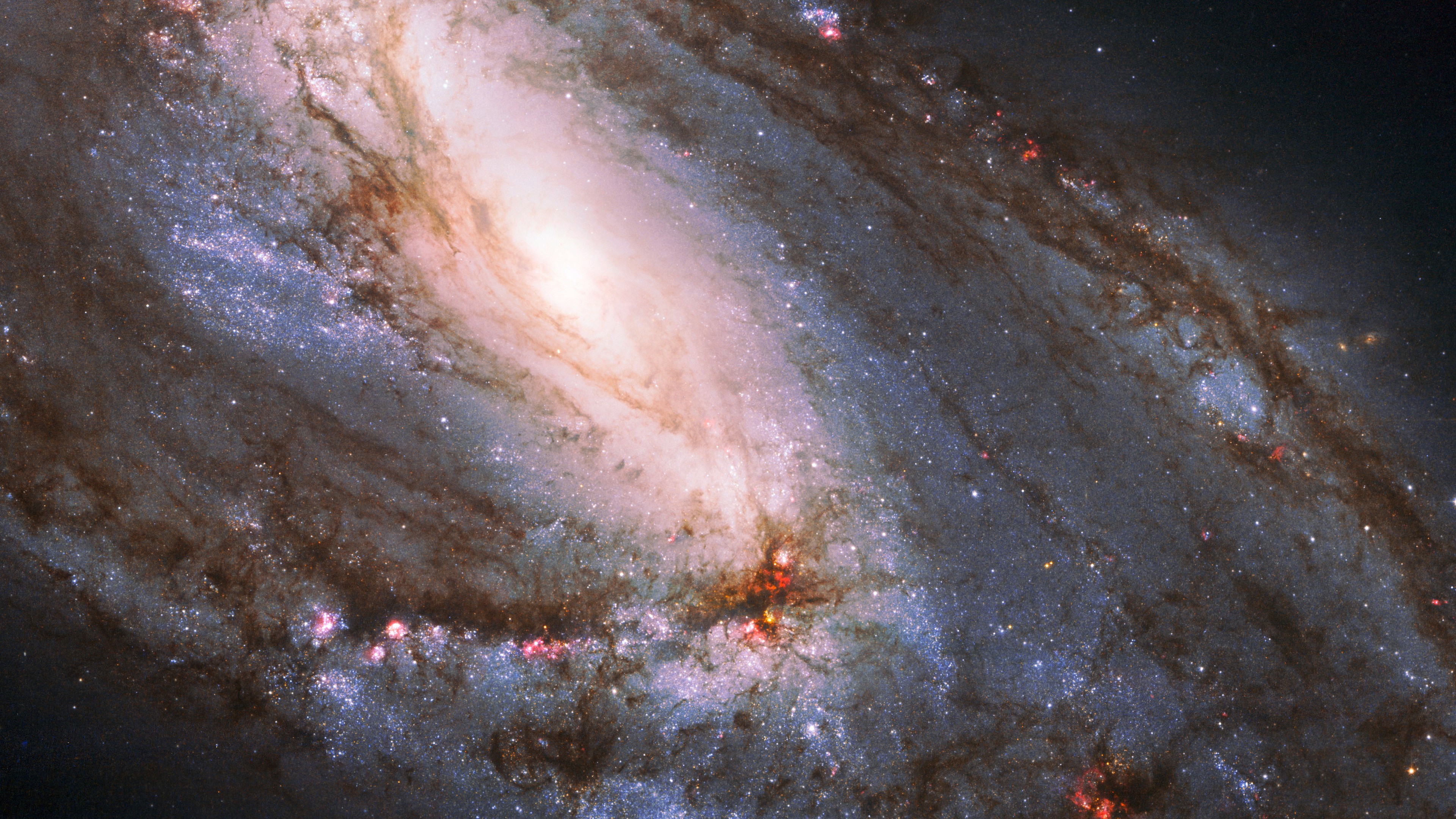 Close-up view of a spiral galaxy's core and arms HD Wallpaper