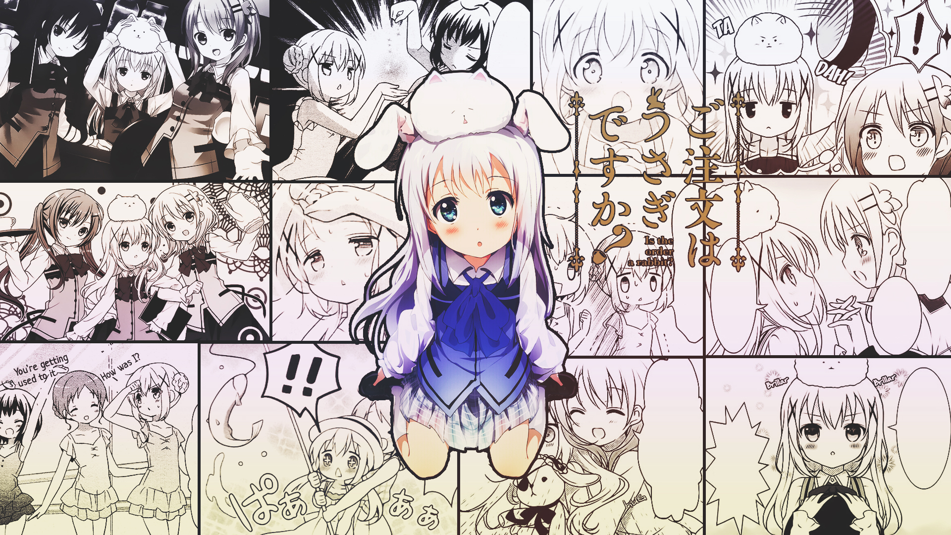 Chino Kafū and friends from Is the Order a Rabbit? HD Wallpaper