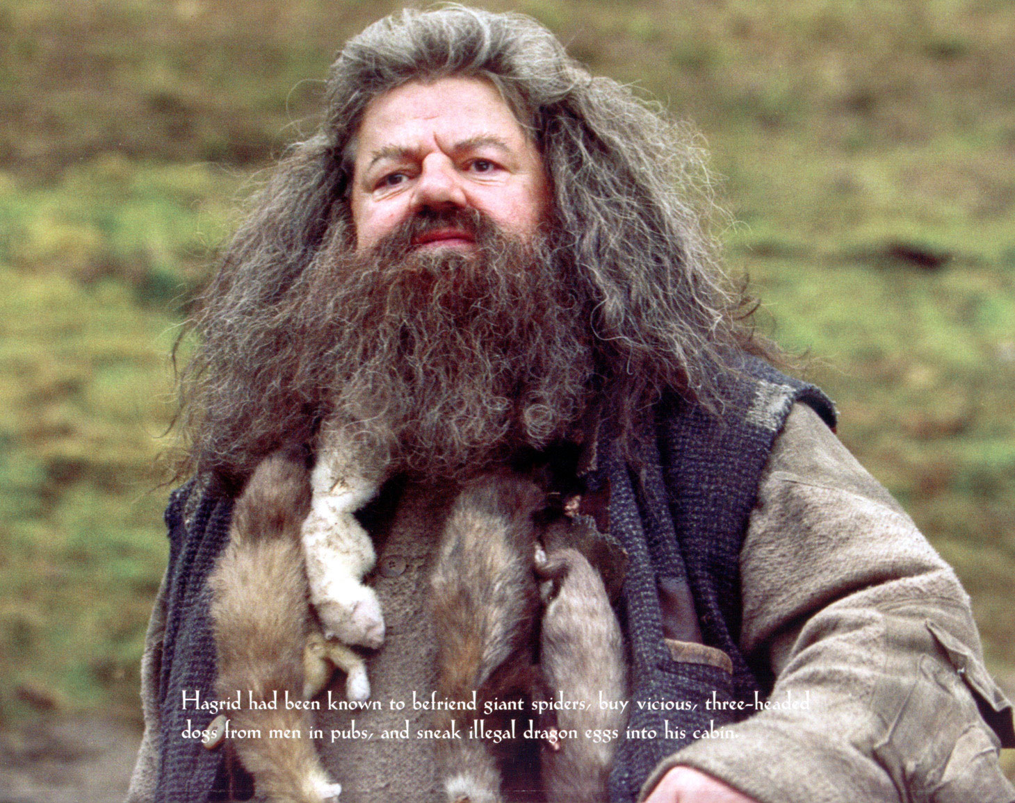 Rubeus Hagrid from Harry Potter HD Wallpaper