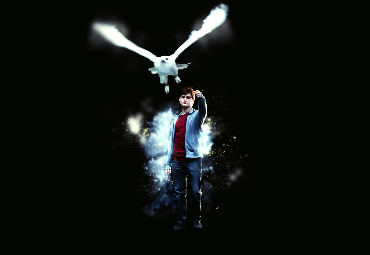 Harry Potter with Hedwig HD Wallpaper