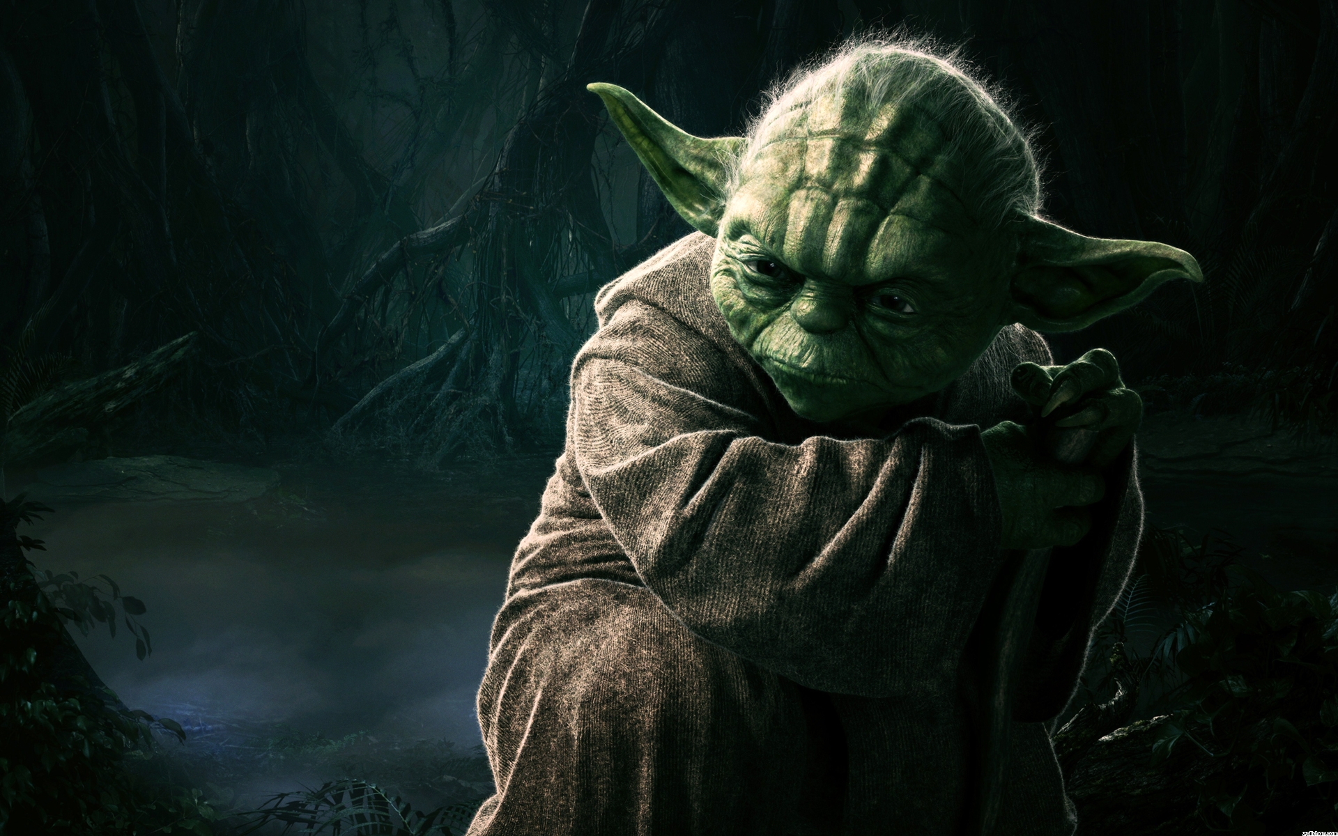 Yoda from Star Wars HD Wallpaper