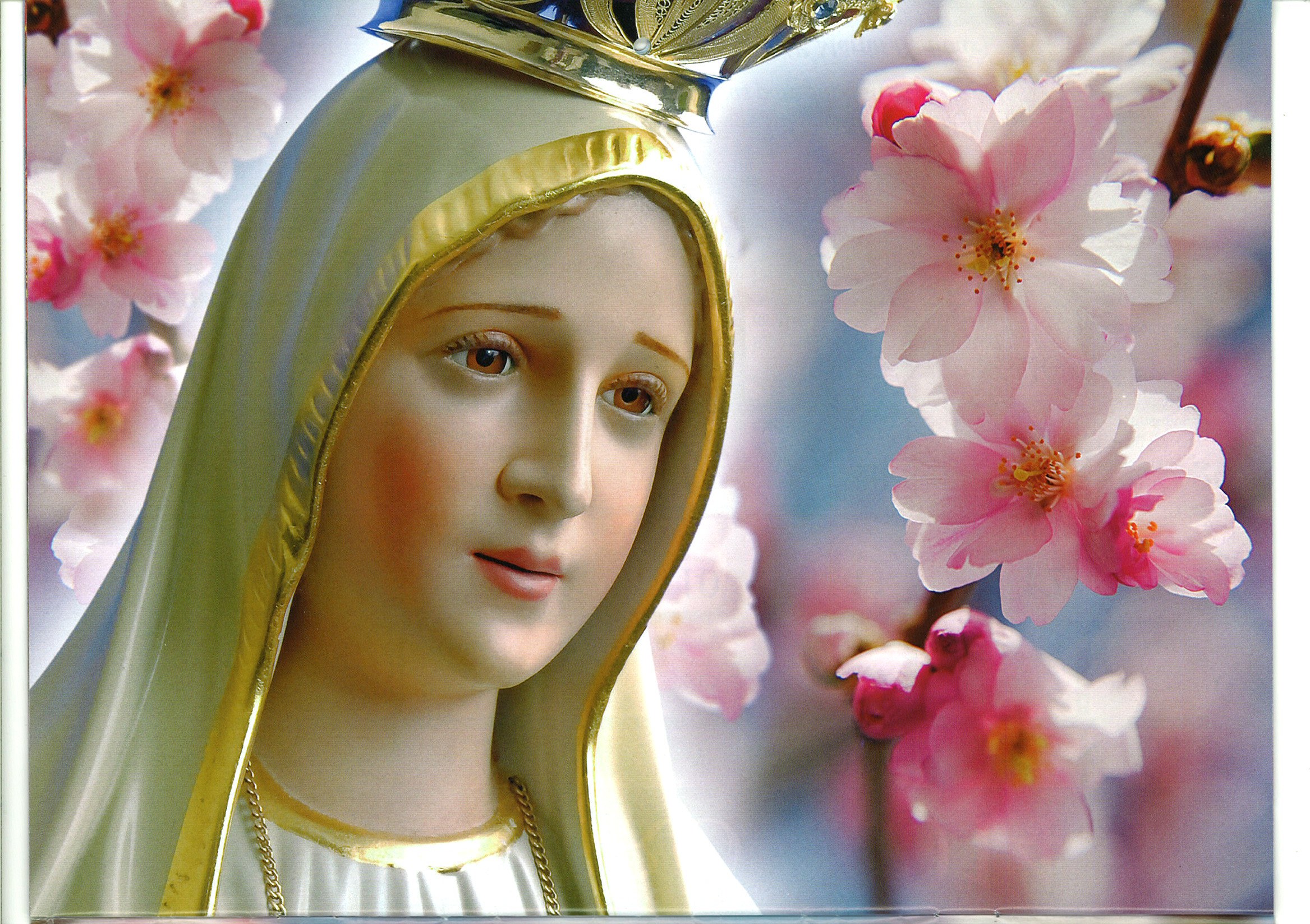 Statue of Mary with Cherry Blossoms HD Wallpaper