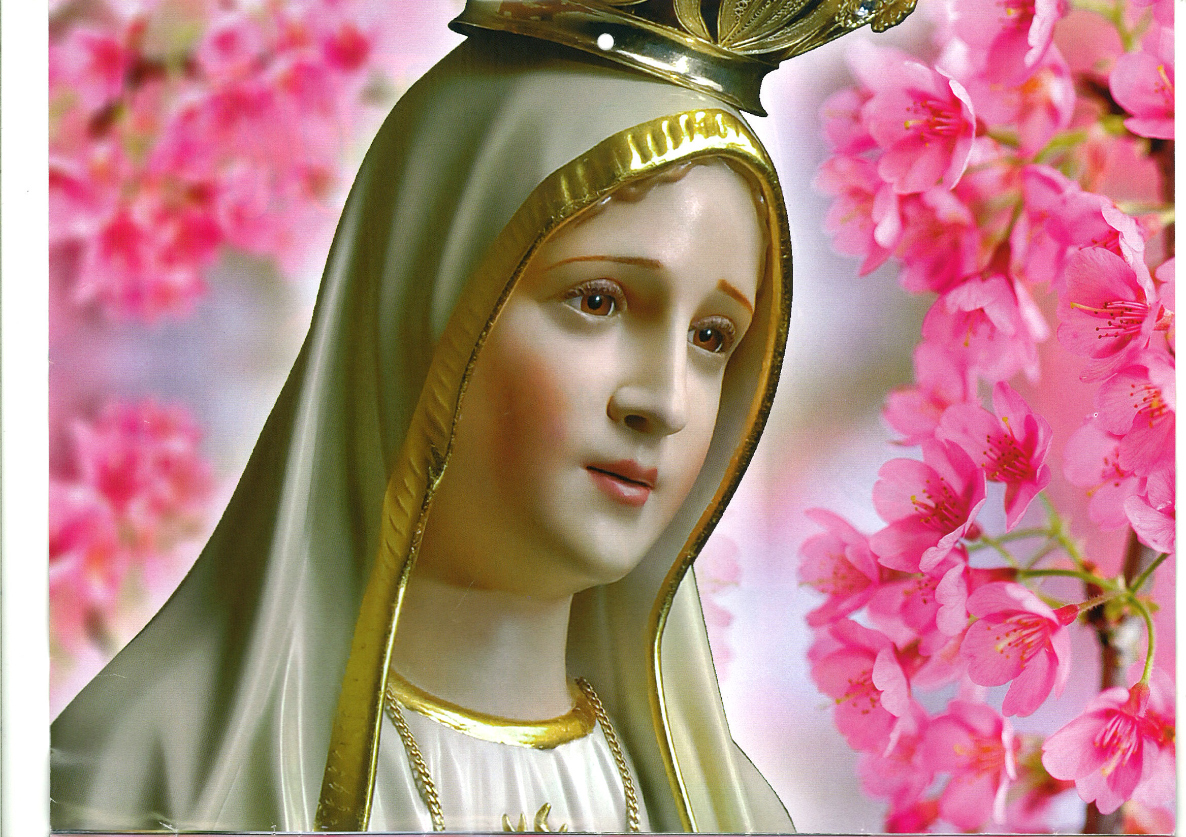 Statue of Mary with pink flowers HD Wallpaper