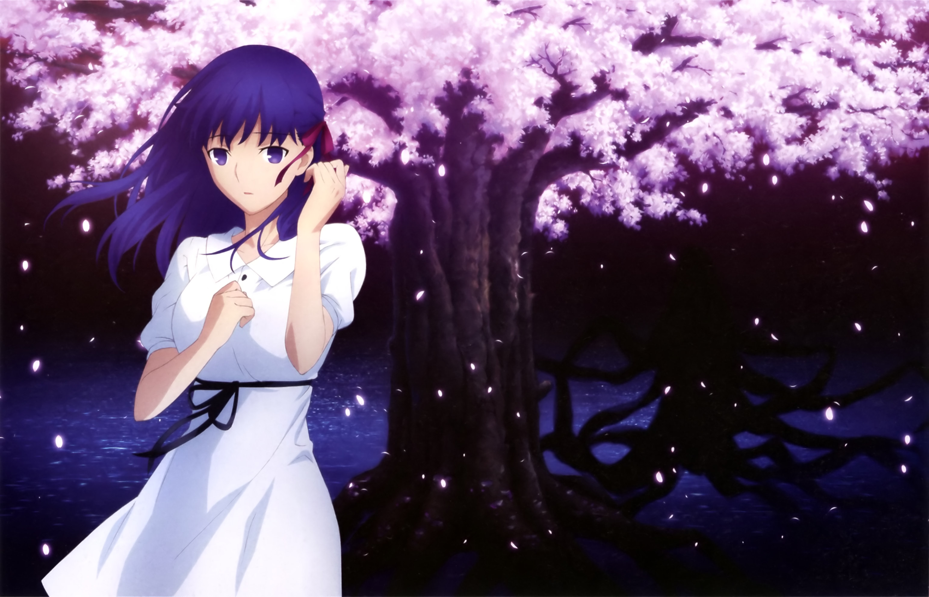 Sakura Matou from Fate/stay night HD Wallpaper