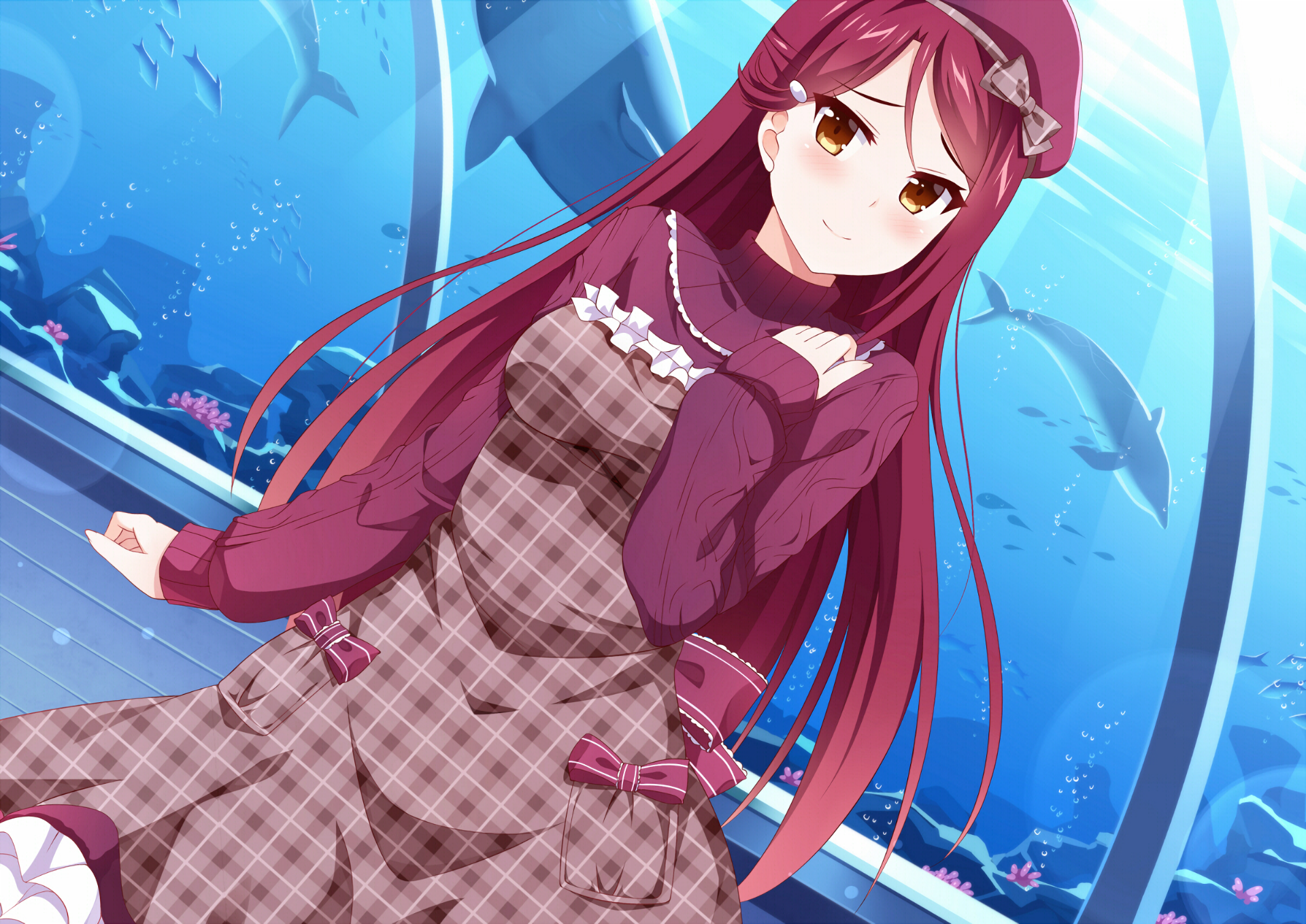 Riko Sakurauchi at the Aquarium HD Wallpaper