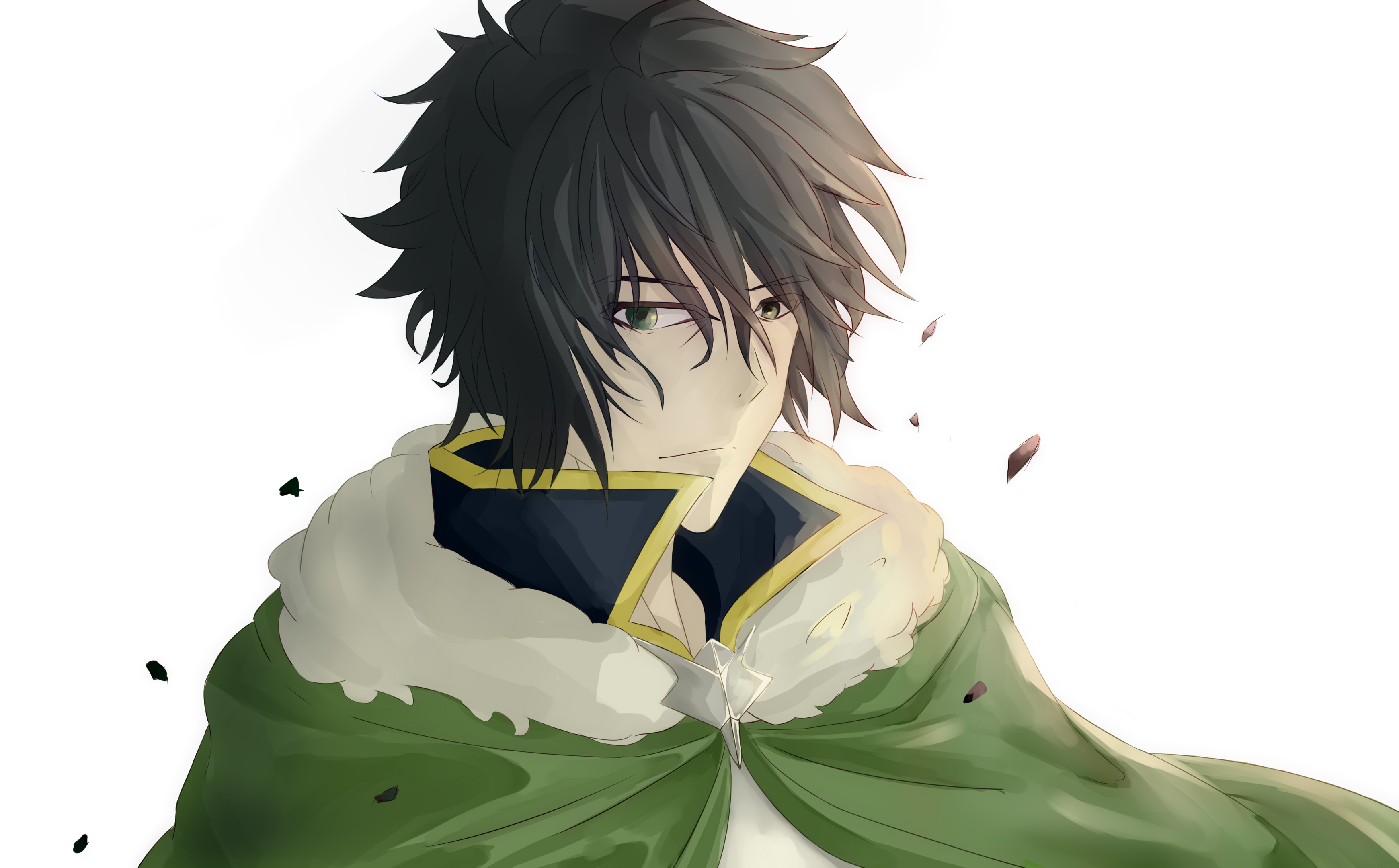 Naofumi Iwatani from The Rising of the Shield Hero HD Wallpaper
