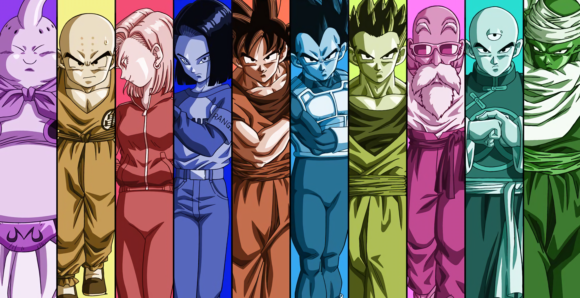 Majin Buu, Krillin, Android 18, Android 17, Goku, Vegeta, Gohan, Master Roshi, Tien Shinhan, and Piccolo from Dragon Ball HD Wallpaper