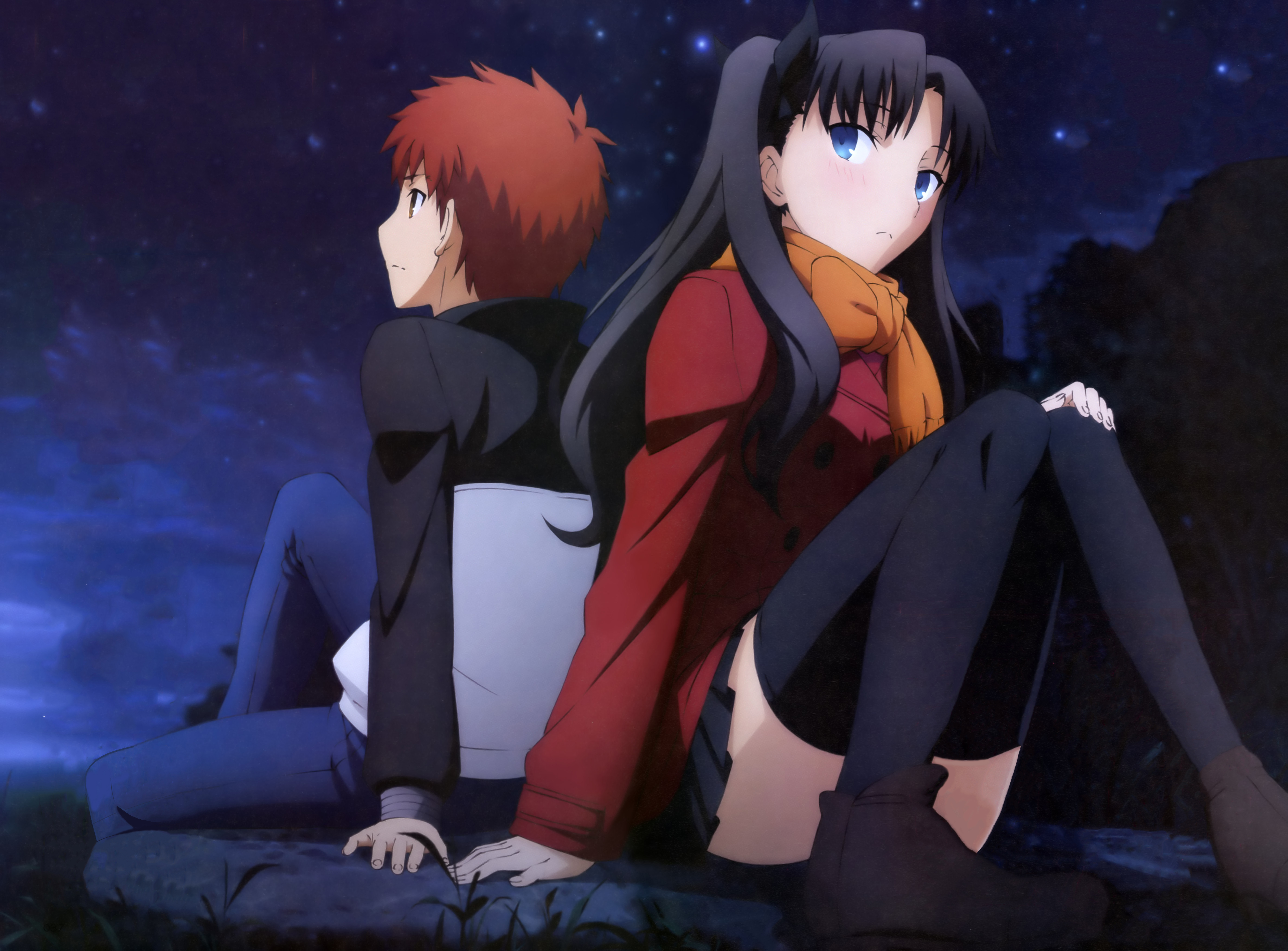 Shirou Emiya and Rin Tohsaka sitting under the stars HD Wallpaper