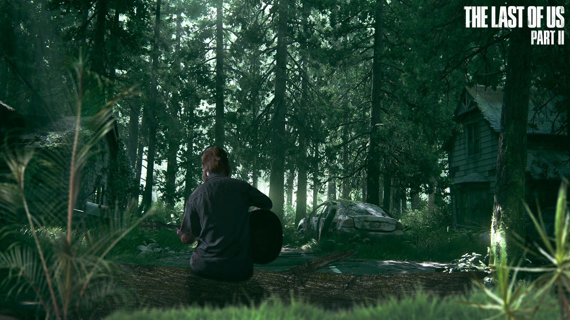 Ellie from The Last of Us Part II playing guitar HD Wallpaper