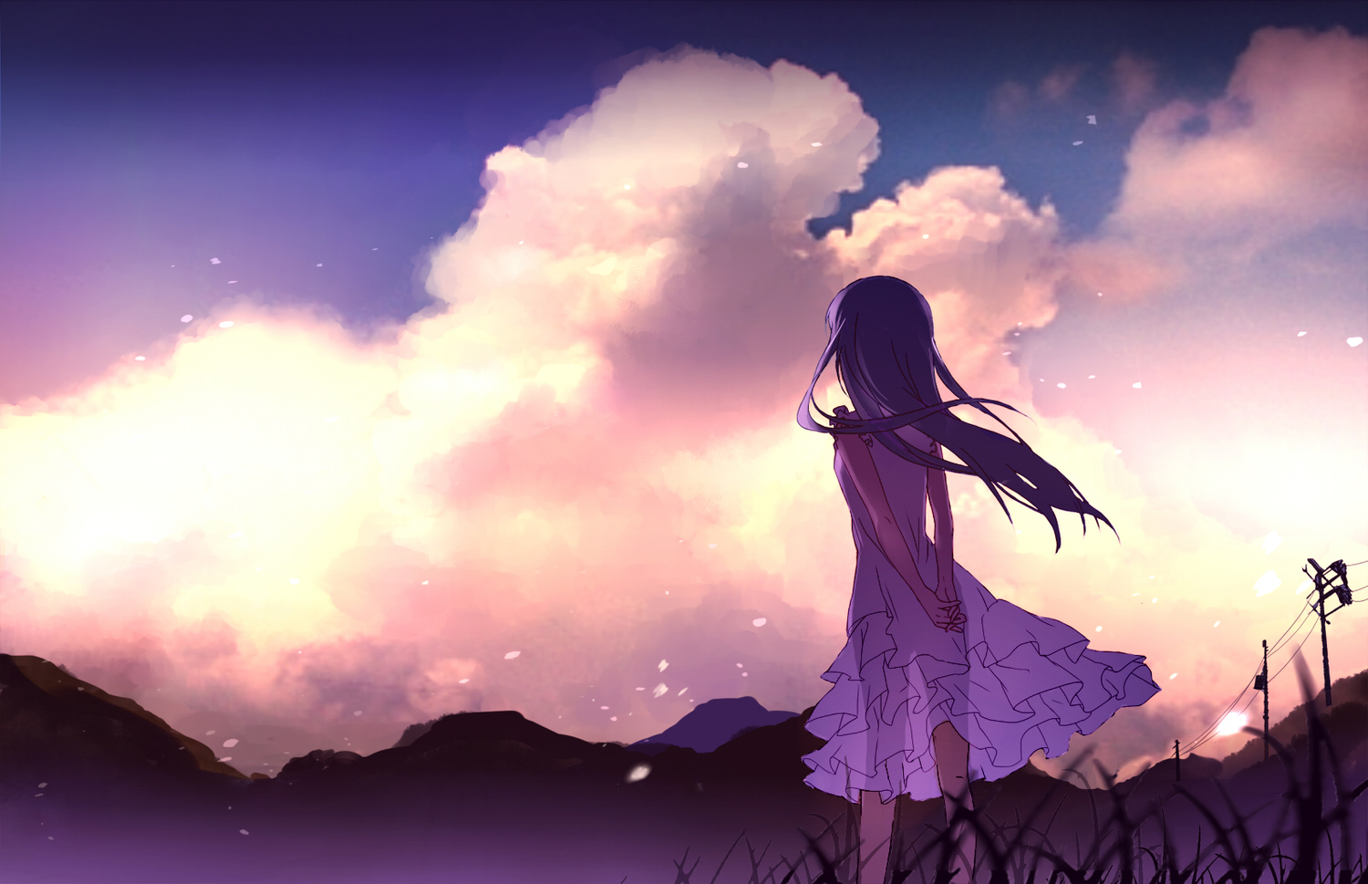 Meiko Honma looking at the sky HD Wallpaper