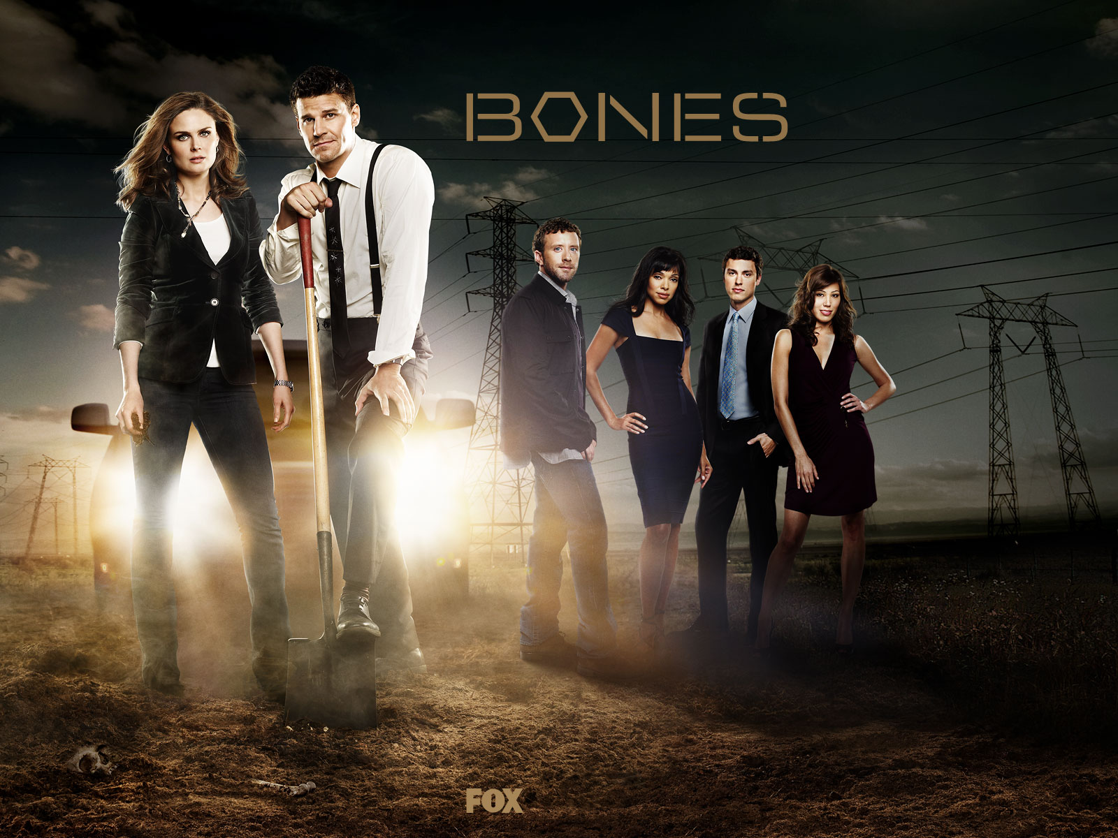 Bones cast with Temperance Brennan and Seeley Booth HD Wallpaper