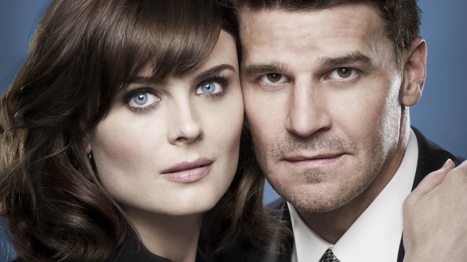 Temperance Brennan from Bones HD Wallpaper
