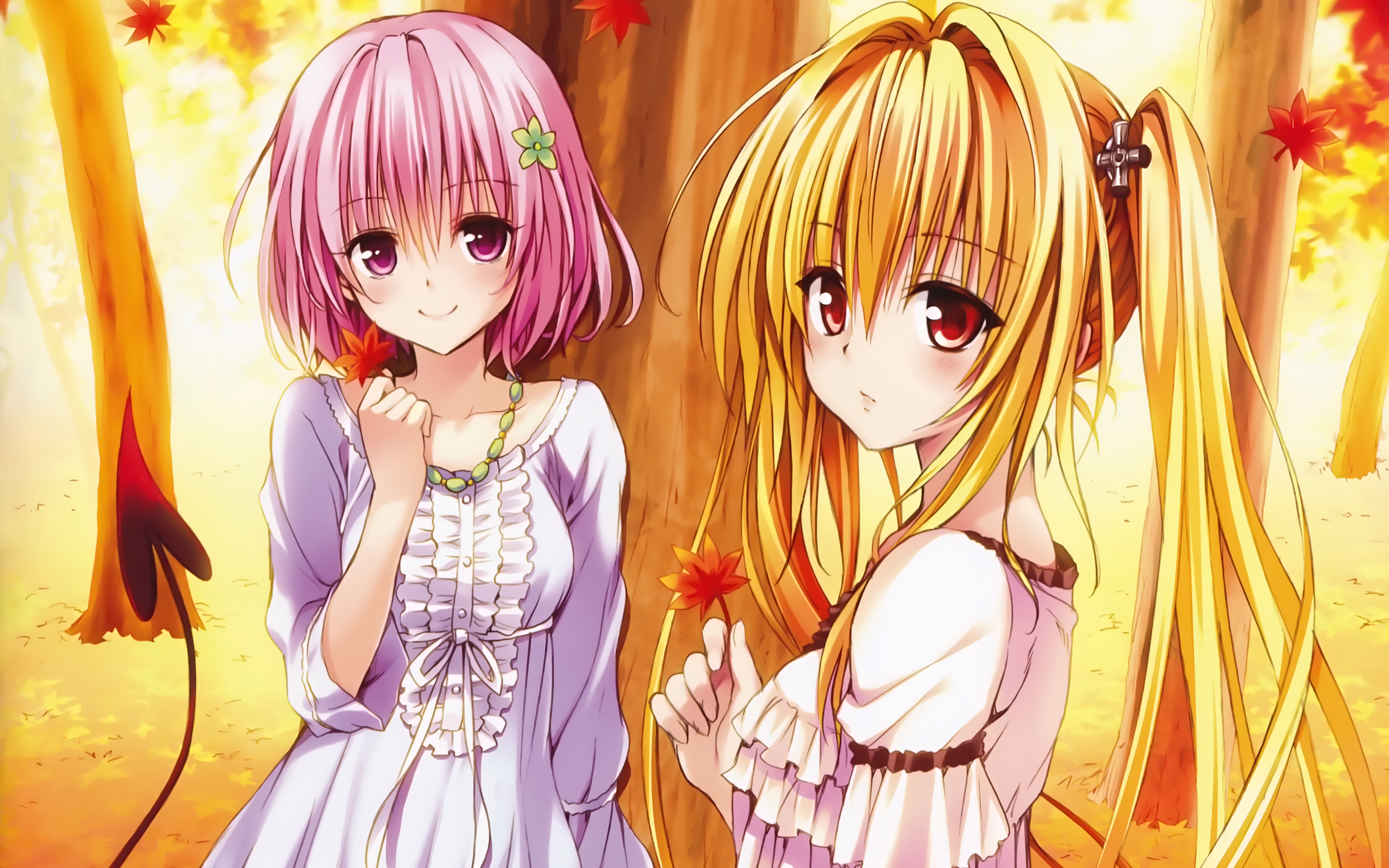 Momo Belia Deviluke and Golden Darkness from To LOVE-Ru HD Wallpaper