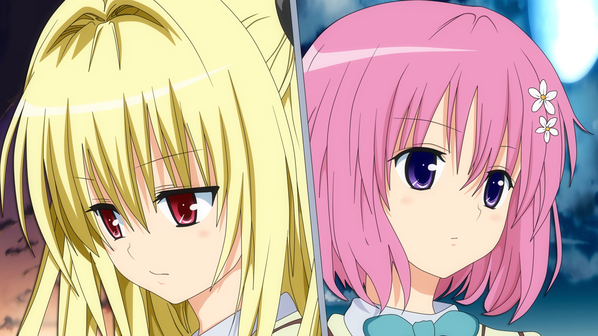 Golden Darkness and Momo Belia Deviluke HD Wallpaper