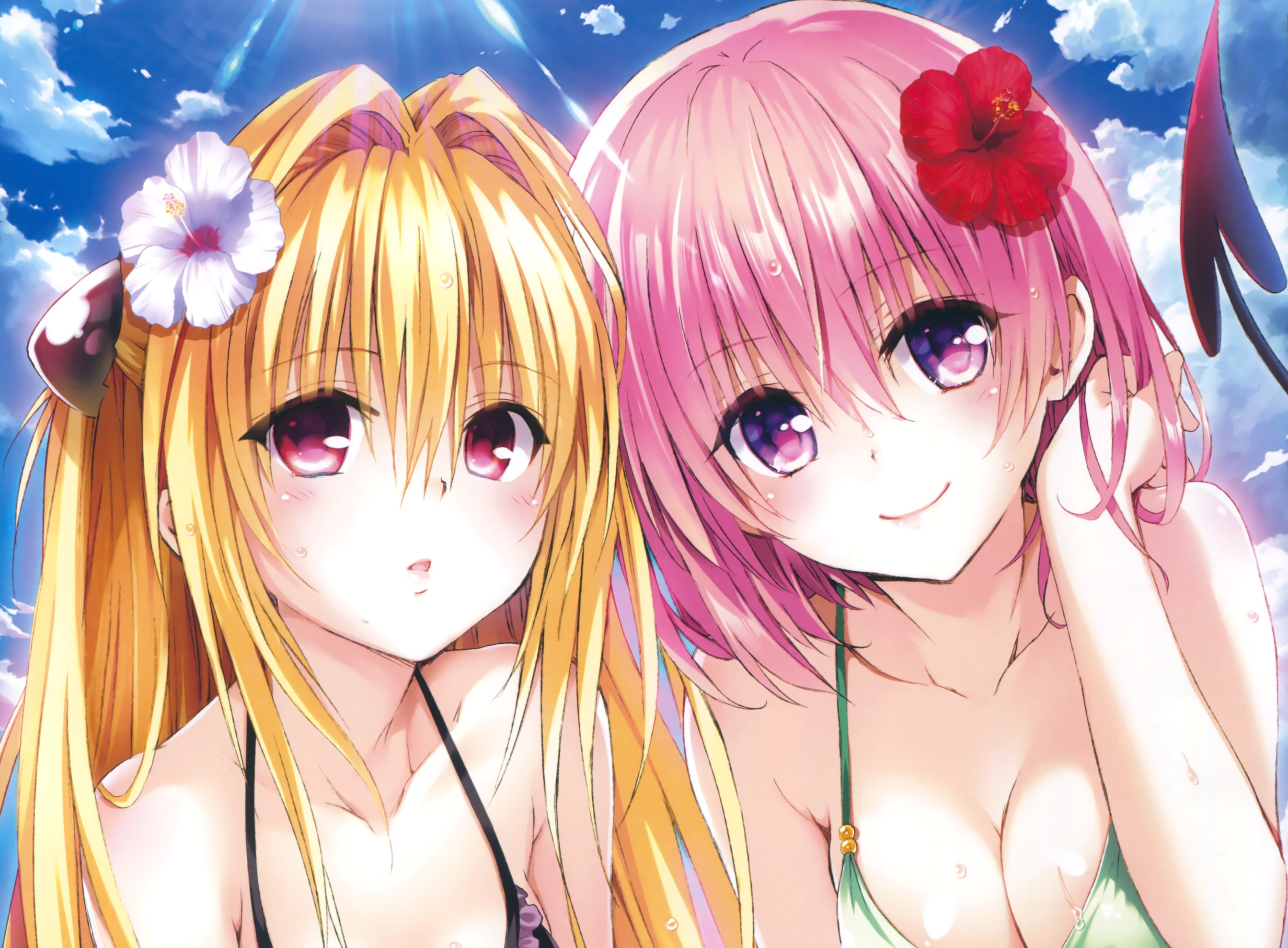 Golden Darkness and Momo Belia Deviluke from To LOVE Ru HD Wallpaper