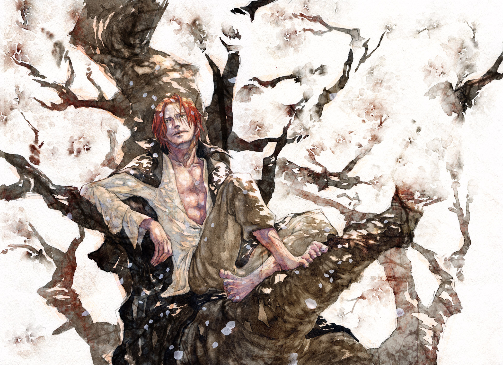 Shanks from One Piece sitting in a tree HD Wallpaper